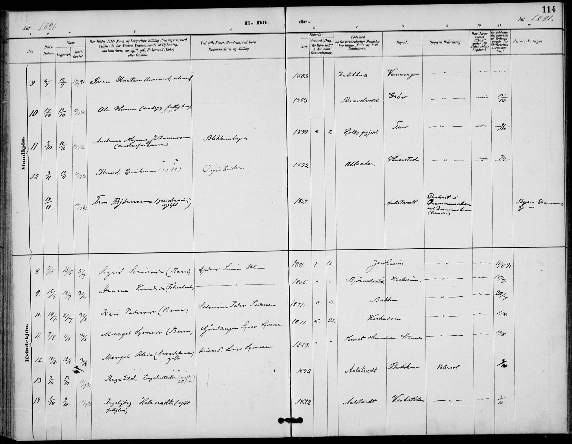 Gol kirkebøker, SAKO/A-226/F/Fb/L0001: Parish register (official) no. II 1, 1887-1900, p. 114