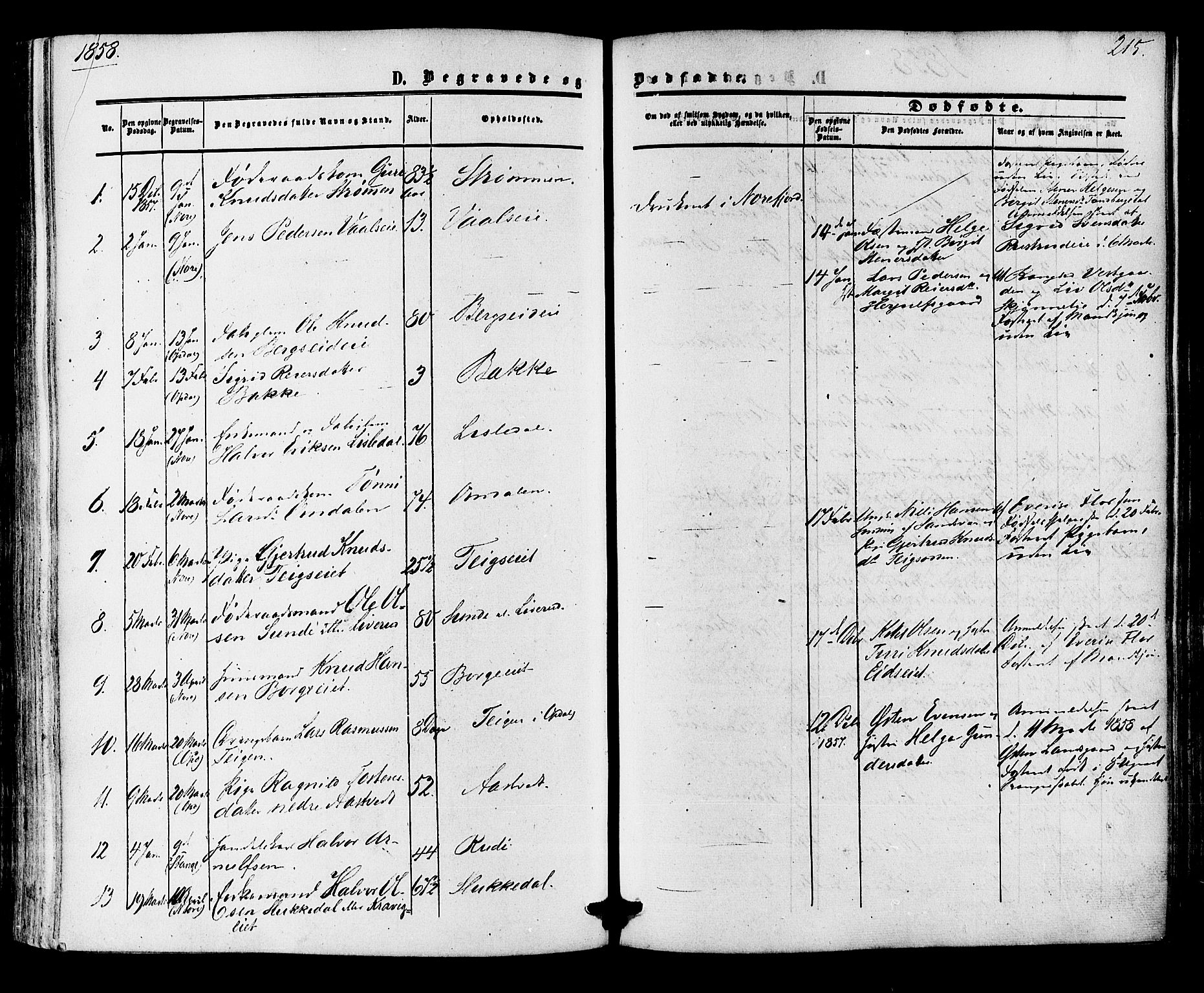Nore kirkebøker, SAKO/A-238/F/Fa/L0003: Parish register (official) no. I 3, 1858-1866, p. 215