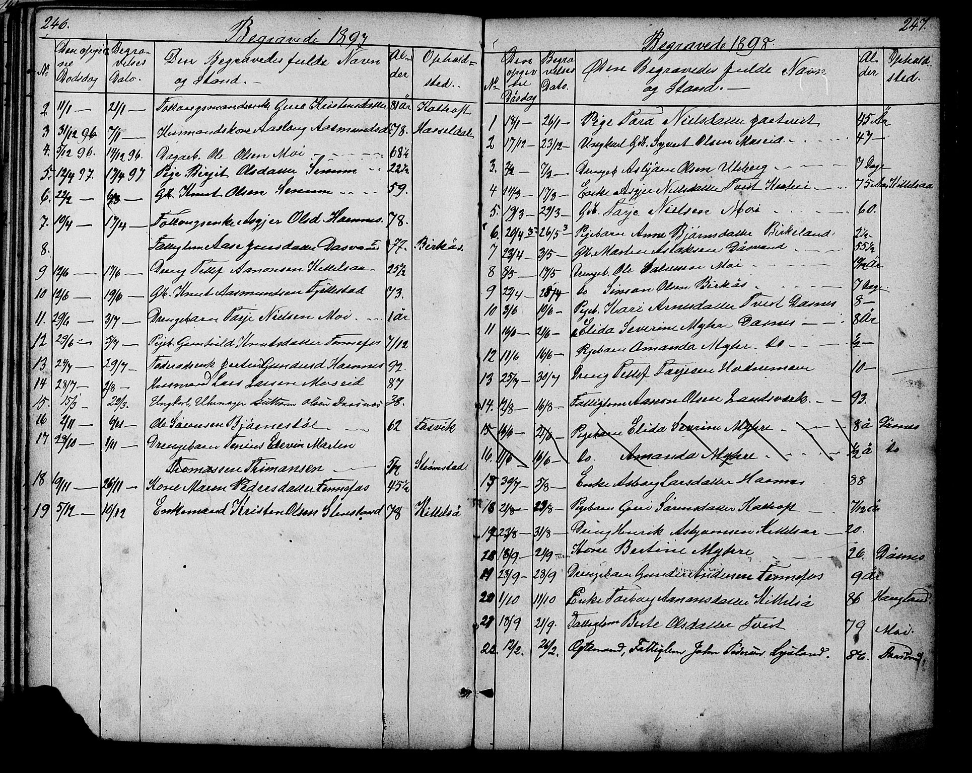 Evje sokneprestkontor, SAK/1111-0008/F/Fb/Fbb/L0002: Parish register (copy) no. B 2, 1879-1909, p. 246-247
