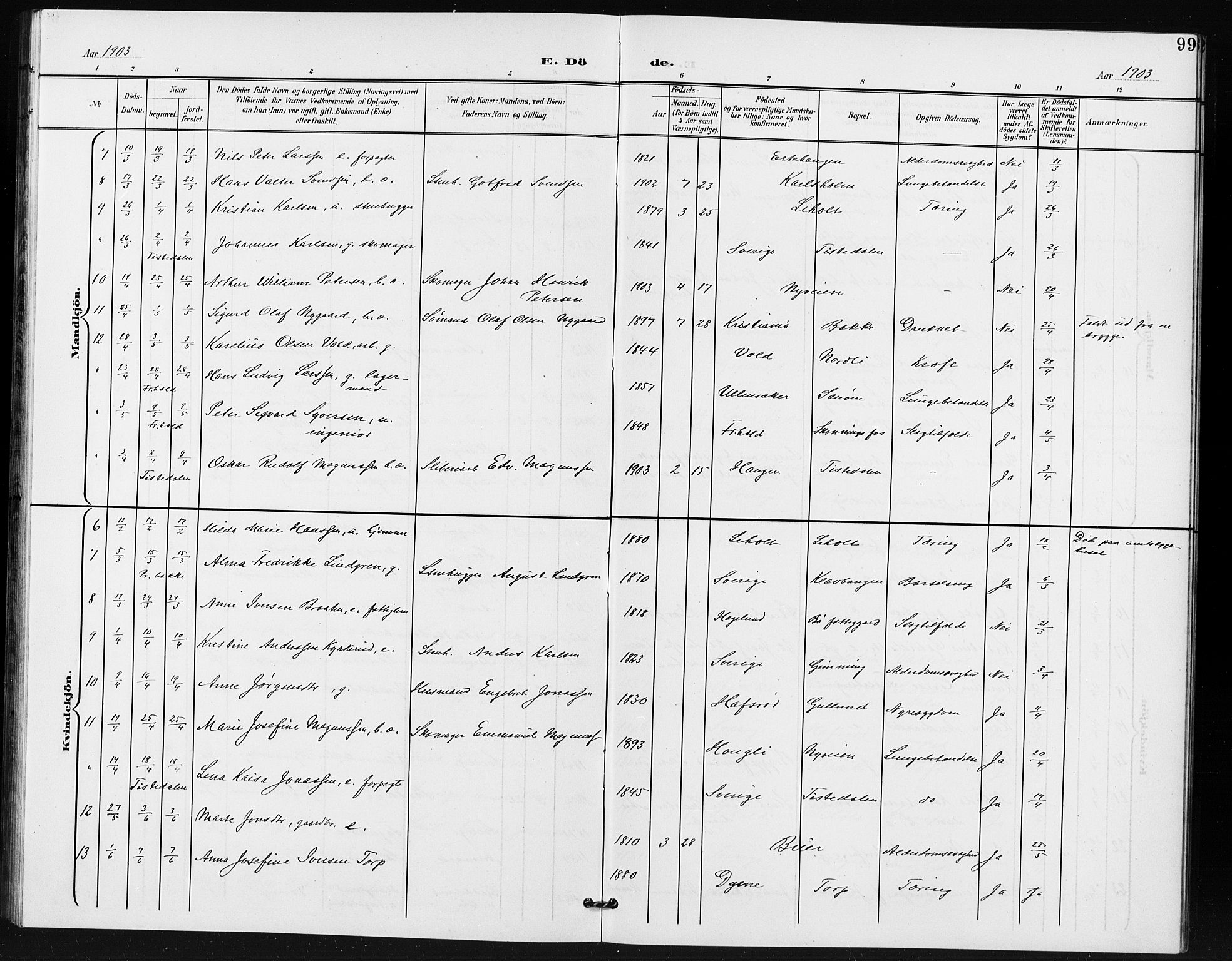 Idd prestekontor Kirkebøker, SAO/A-10911/G/Gb/L0001: Parish register (copy) no. II 1, 1901-1907, p. 99