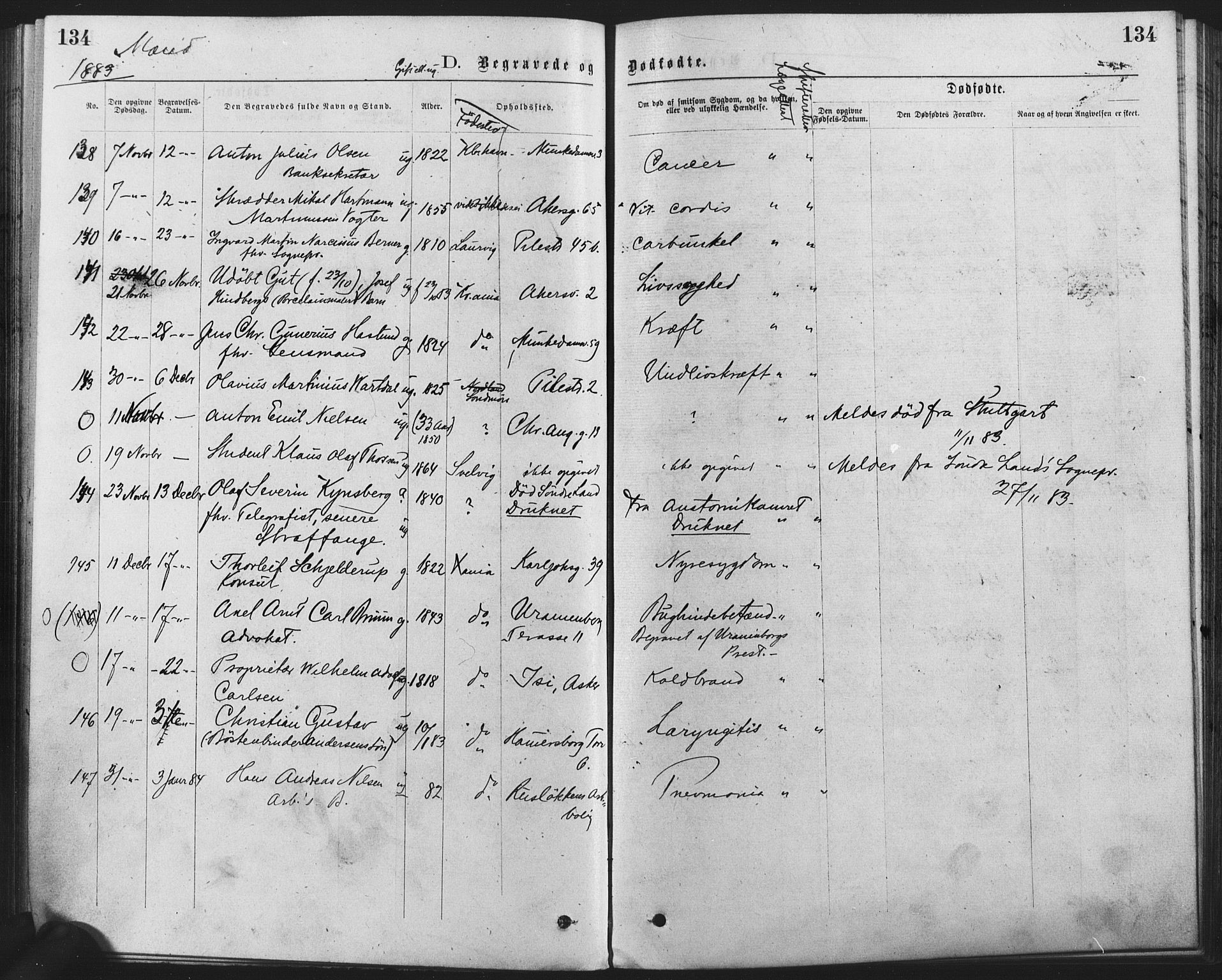 Trefoldighet prestekontor Kirkebøker, SAO/A-10882/F/Fd/L0002: Parish register (official) no. IV 2, 1877-1885, p. 134