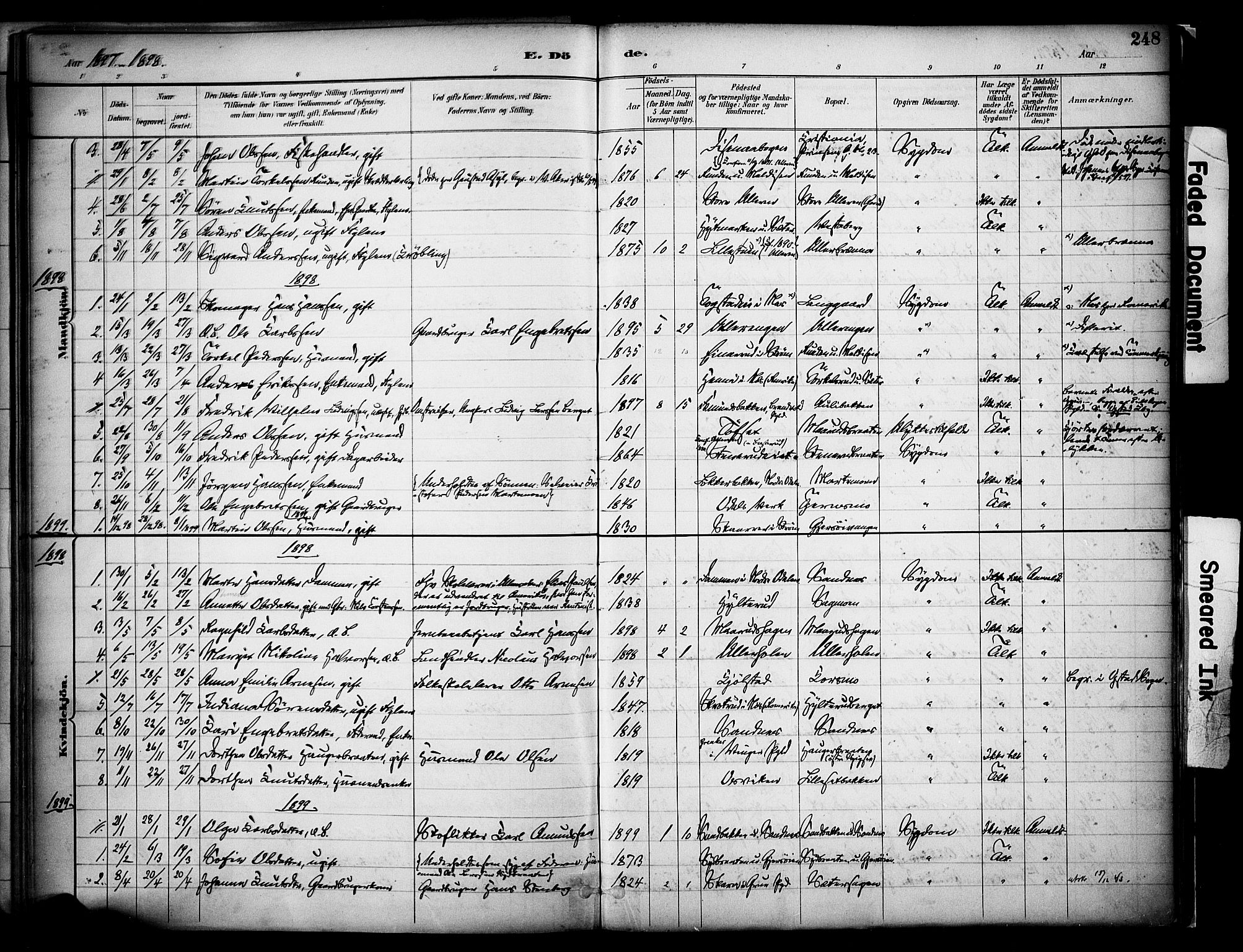 Sør-Odal prestekontor, AV/SAH-PREST-030/H/Ha/Haa/L0008: Parish register (official) no. 8, 1886-1922, p. 248