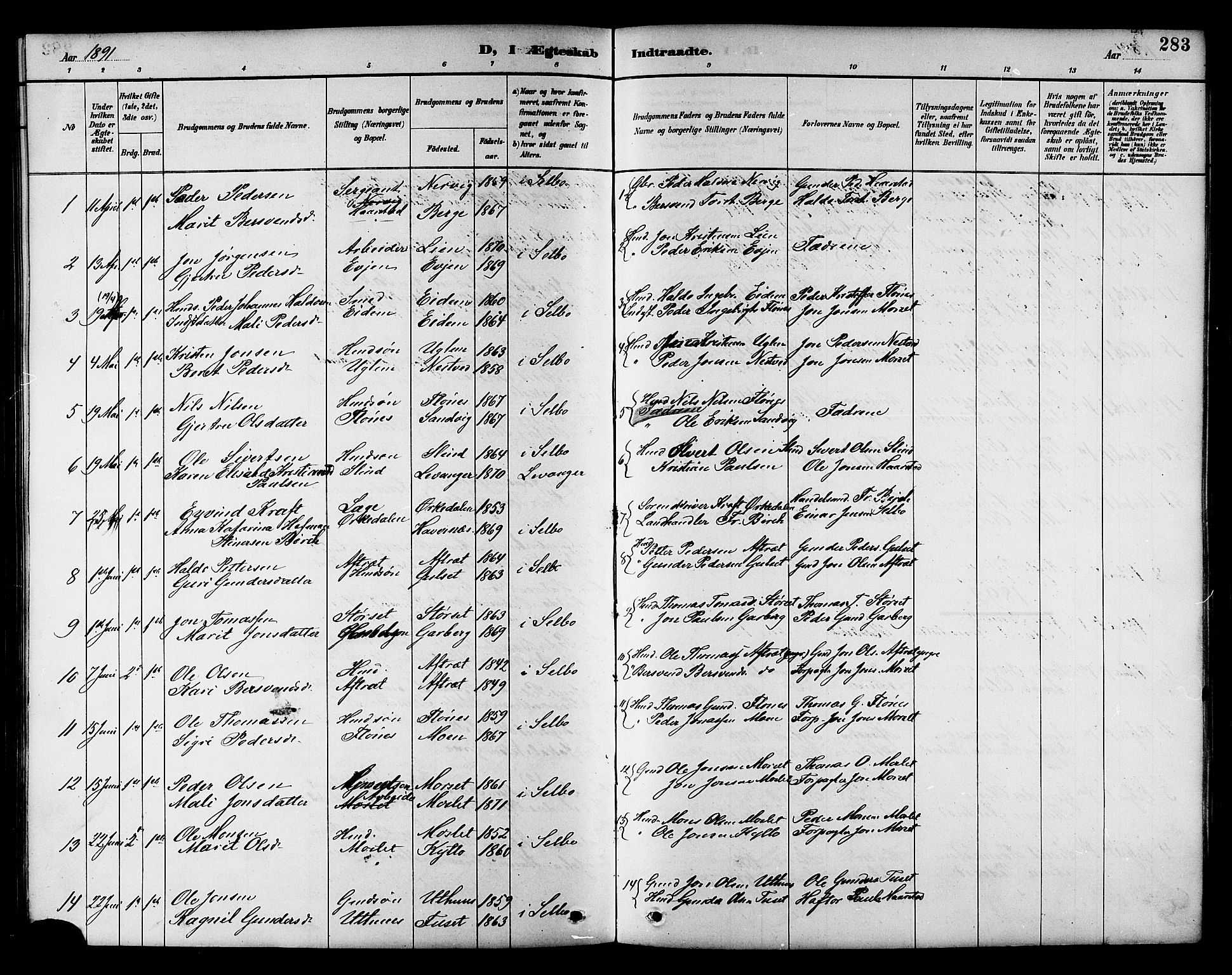 Ministerialprotokoller, klokkerbøker og fødselsregistre - Sør-Trøndelag, AV/SAT-A-1456/695/L1157: Parish register (copy) no. 695C08, 1889-1913, p. 283