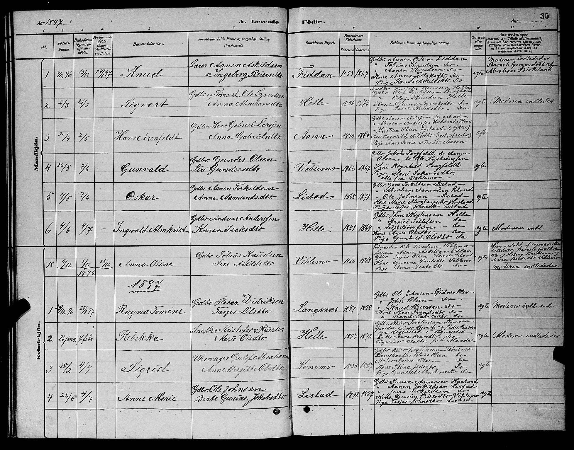 Nord-Audnedal sokneprestkontor, AV/SAK-1111-0032/F/Fb/Fba/L0003: Parish register (copy) no. B 3, 1881-1900, p. 35
