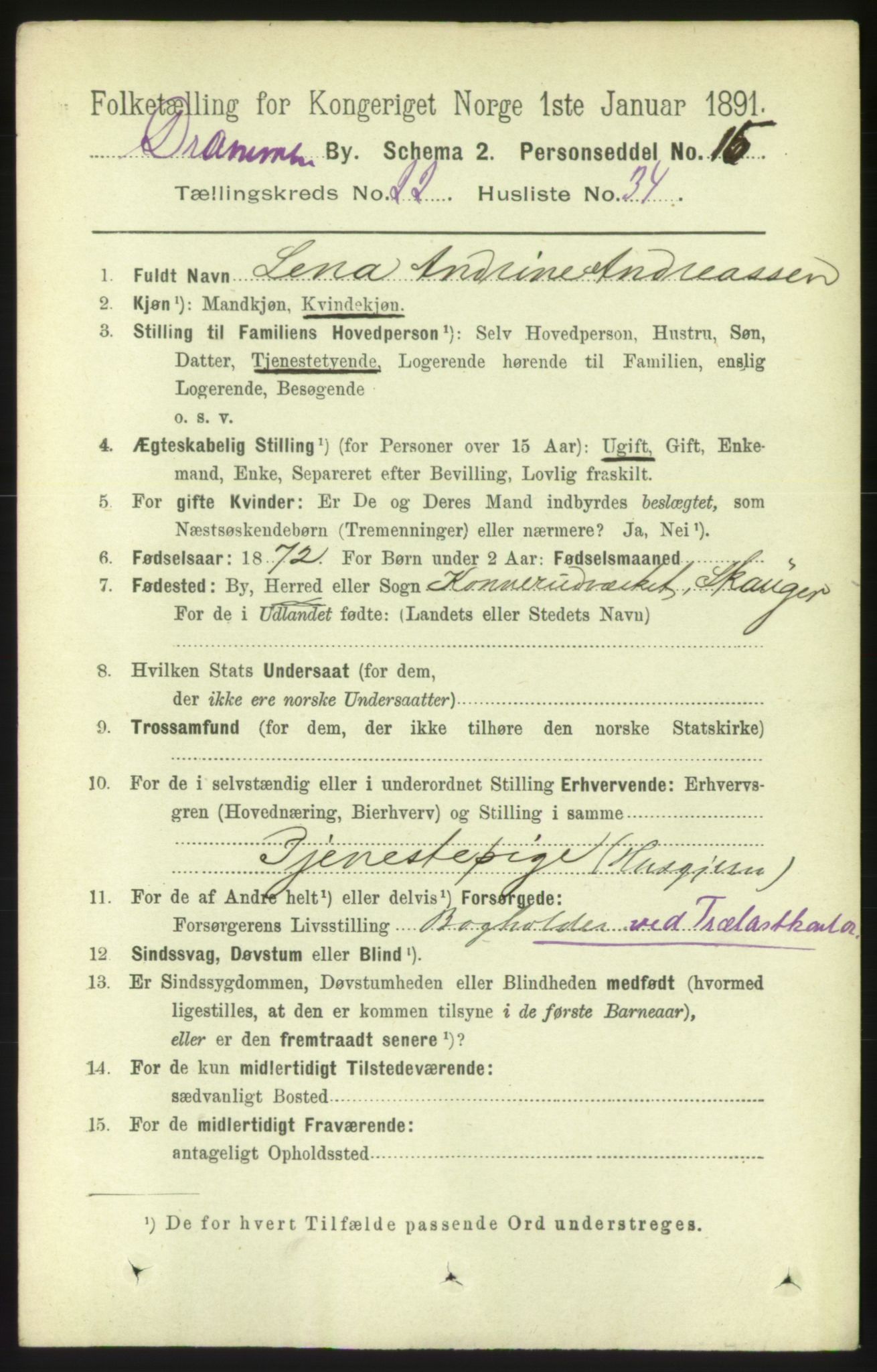 RA, 1891 census for 0602 Drammen, 1891, p. 13925