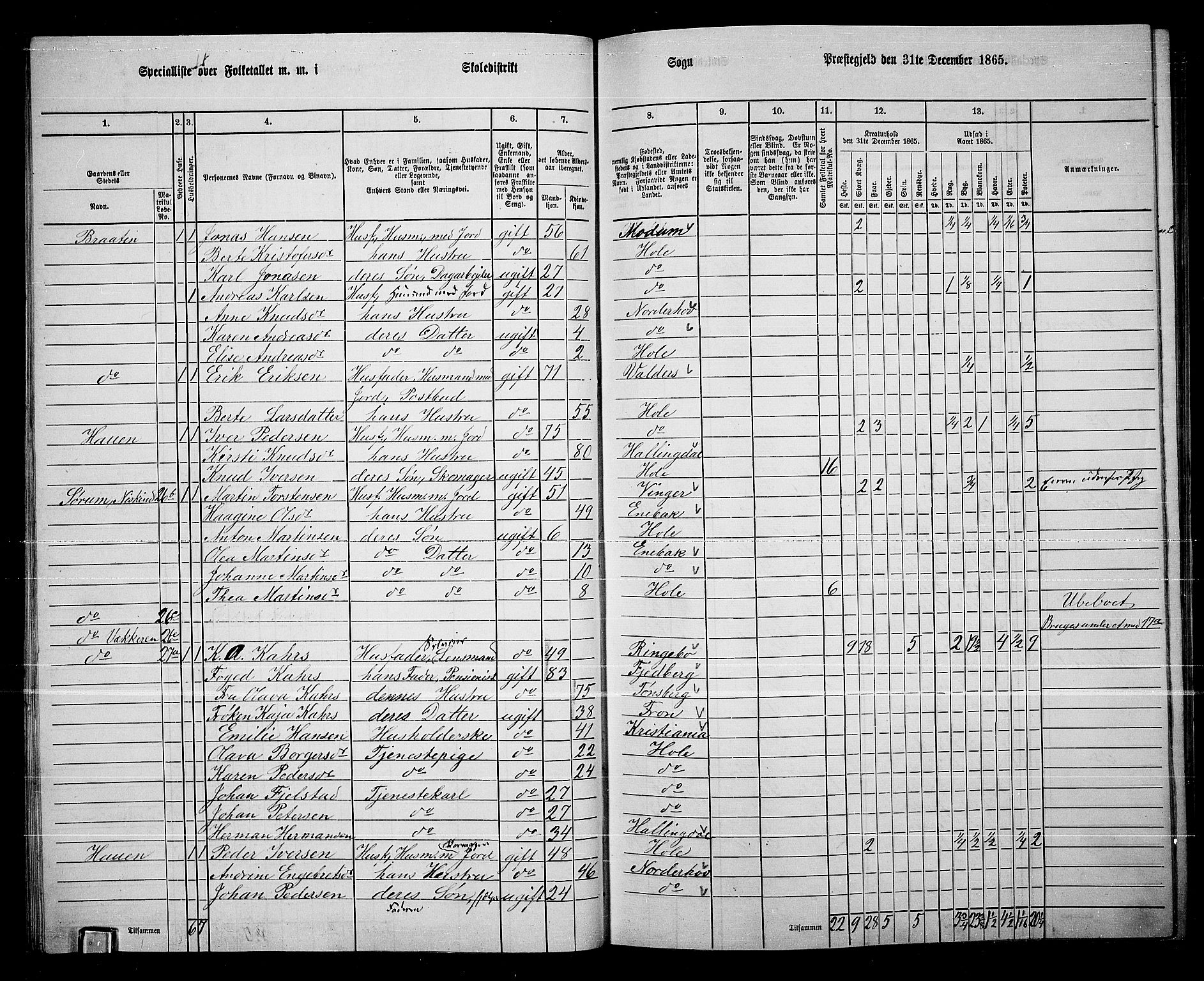 RA, 1865 census for Hole, 1865, p. 30