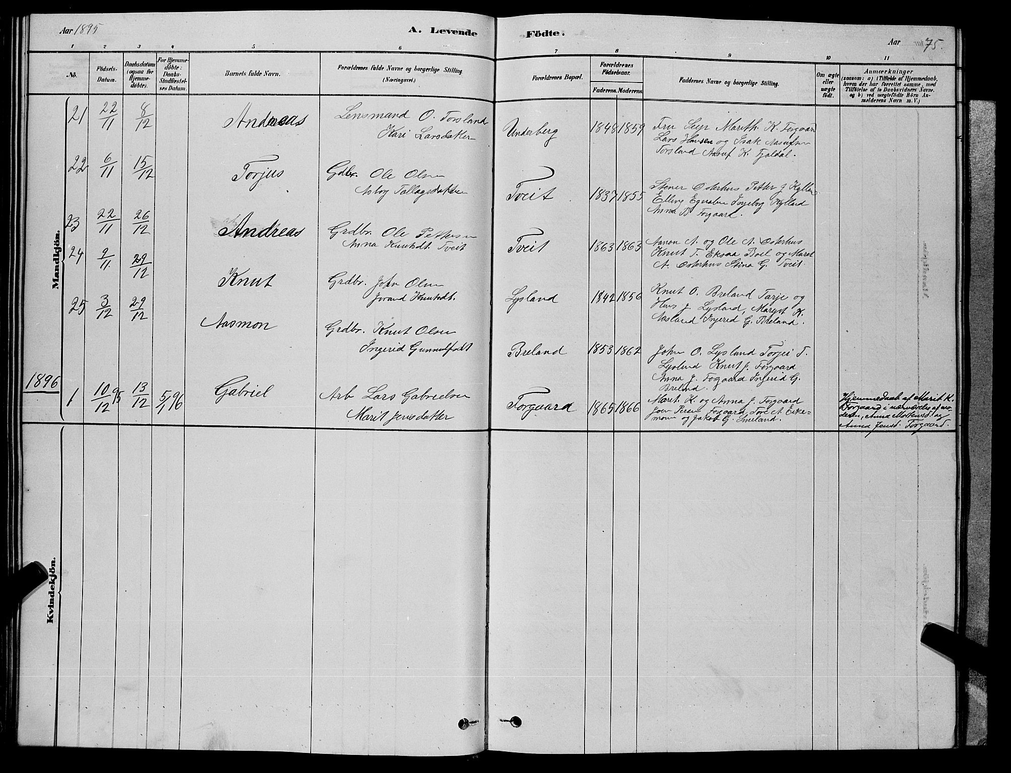 Åseral sokneprestkontor, AV/SAK-1111-0051/F/Fb/L0002: Parish register (copy) no. B 2, 1878-1899, p. 75