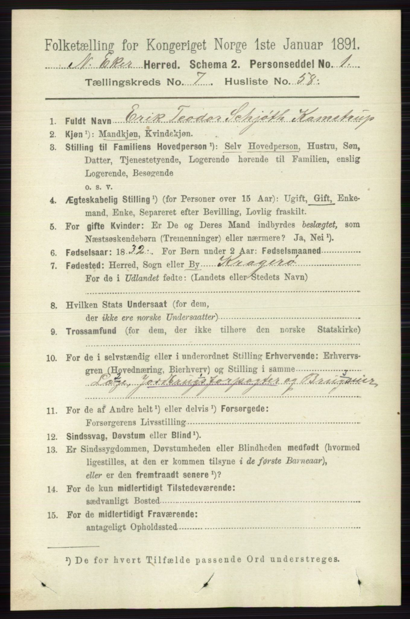 RA, 1891 census for 0625 Nedre Eiker, 1891, p. 3816