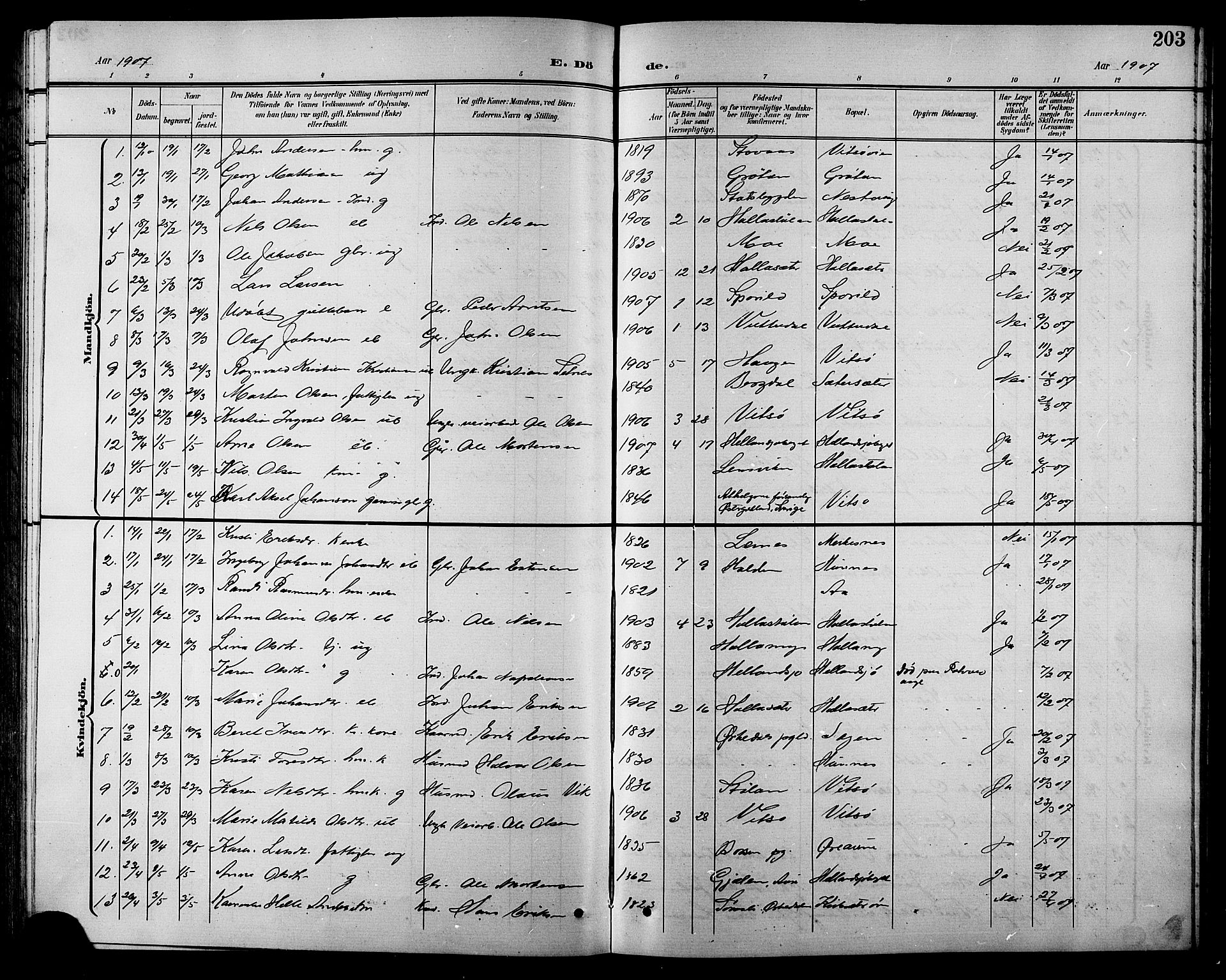Ministerialprotokoller, klokkerbøker og fødselsregistre - Sør-Trøndelag, SAT/A-1456/630/L0505: Parish register (copy) no. 630C03, 1899-1914, p. 203