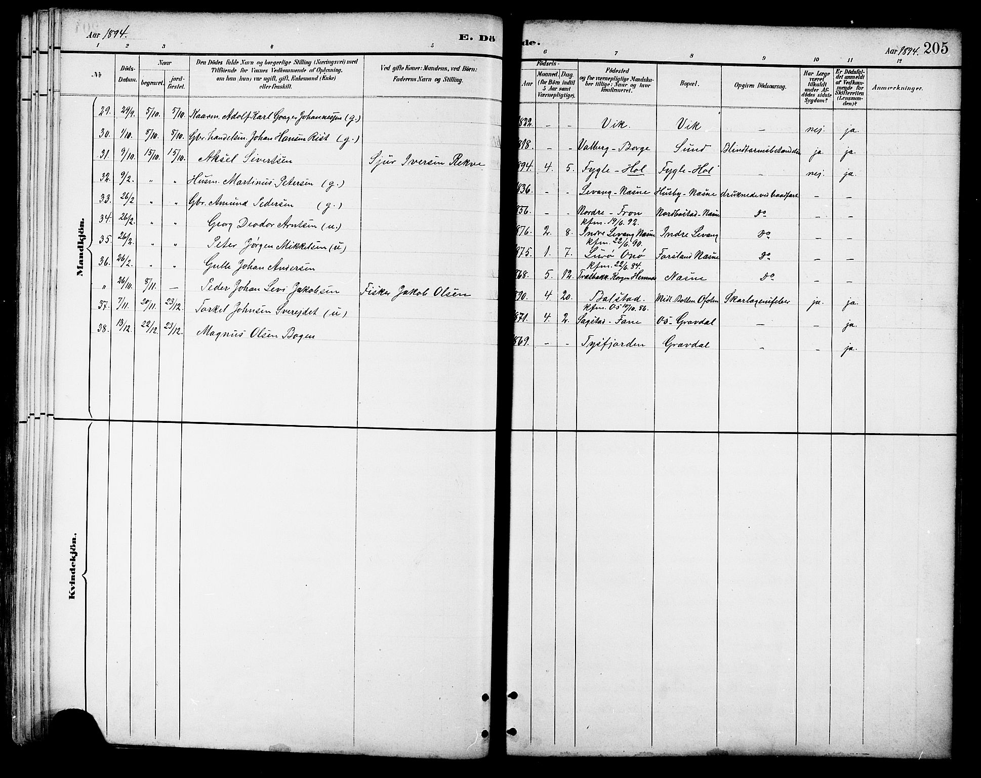 Ministerialprotokoller, klokkerbøker og fødselsregistre - Nordland, AV/SAT-A-1459/881/L1167: Parish register (copy) no. 881C04, 1886-1899, p. 205