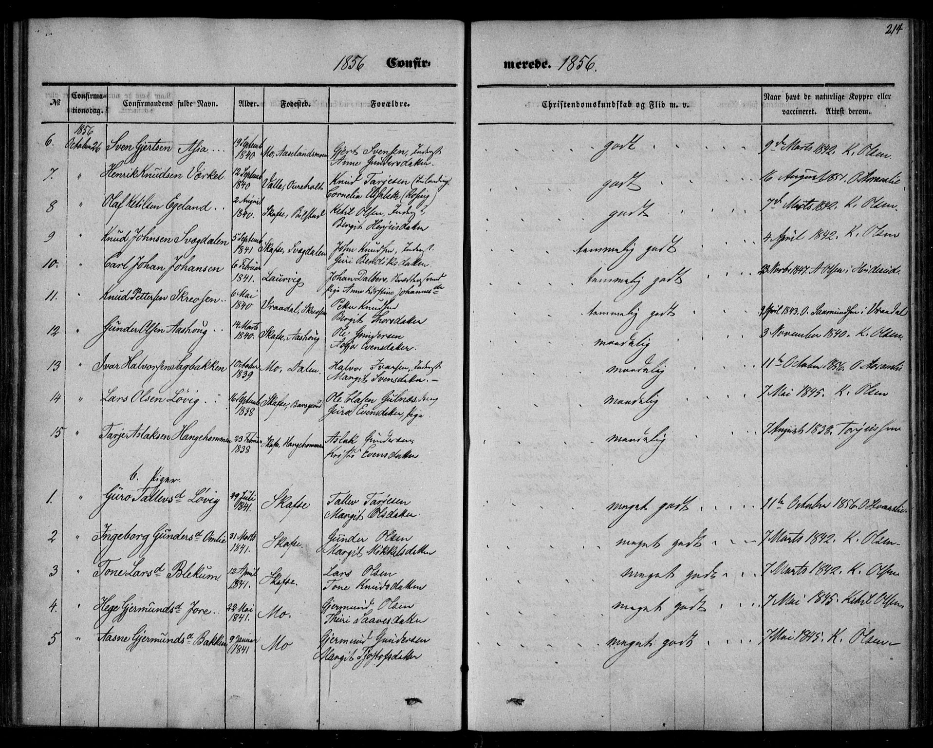 Mo kirkebøker, AV/SAKO-A-286/F/Fa/L0005: Parish register (official) no. I 5, 1844-1864, p. 214