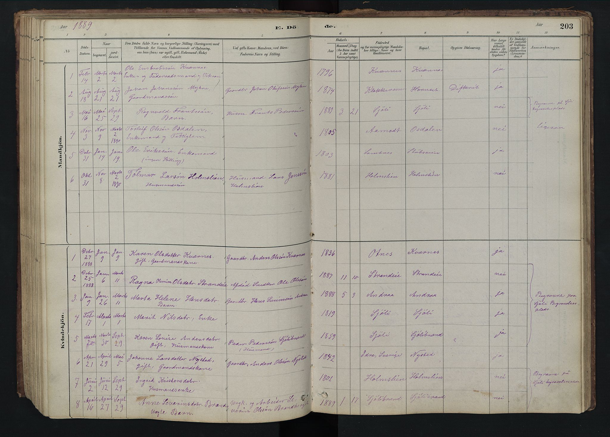 Rendalen prestekontor, SAH/PREST-054/H/Ha/Hab/L0009: Parish register (copy) no. 9, 1879-1902, p. 203