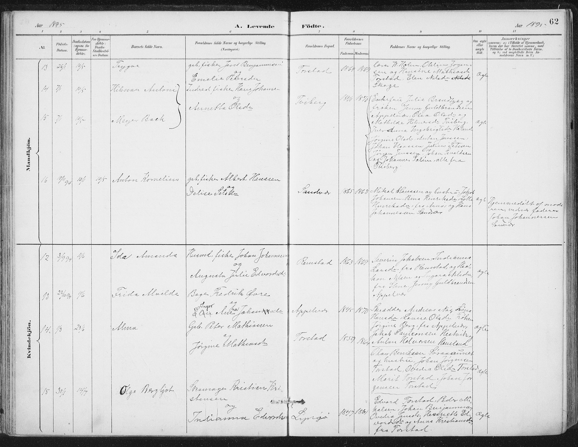 Ministerialprotokoller, klokkerbøker og fødselsregistre - Nord-Trøndelag, AV/SAT-A-1458/784/L0673: Parish register (official) no. 784A08, 1888-1899, p. 62