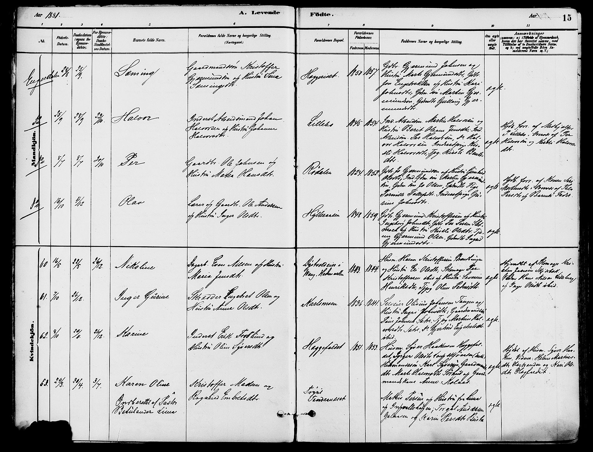 Trysil prestekontor, AV/SAH-PREST-046/H/Ha/Haa/L0008: Parish register (official) no. 8, 1881-1897, p. 15