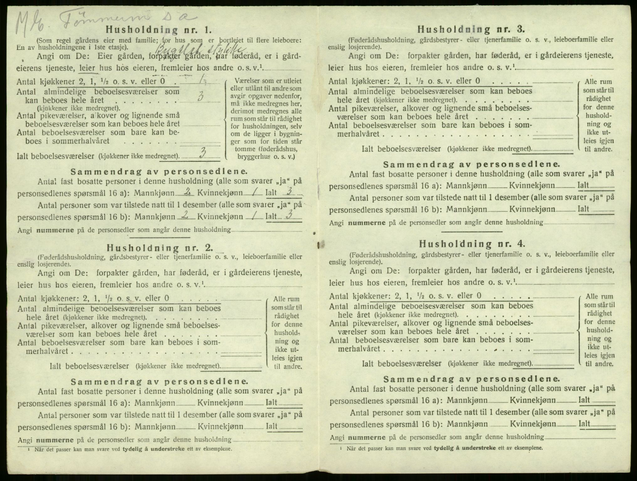 SAKO, 1920 census for Våle, 1920, p. 50