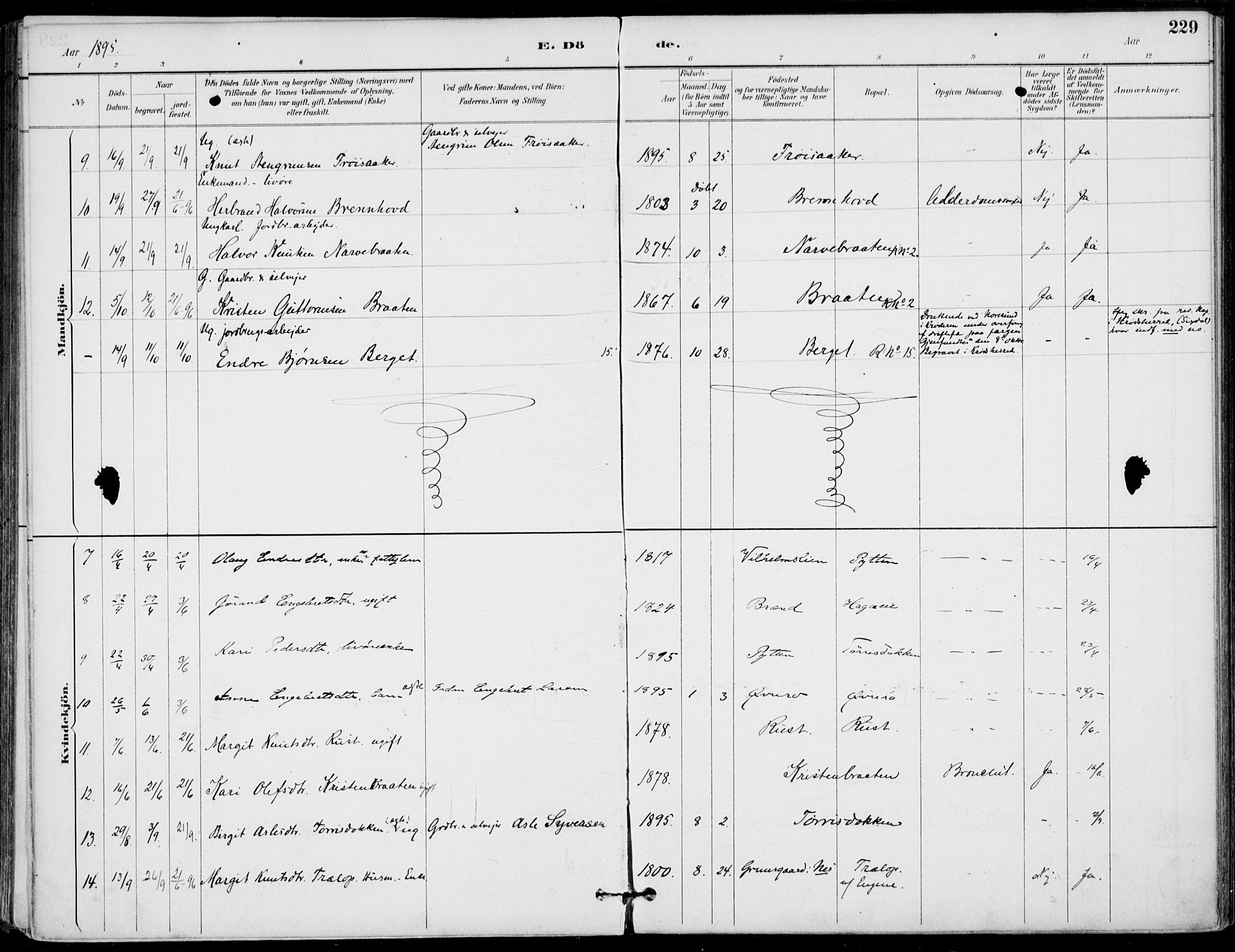 Gol kirkebøker, AV/SAKO-A-226/F/Fa/L0005: Parish register (official) no. I 5, 1887-1900, p. 229