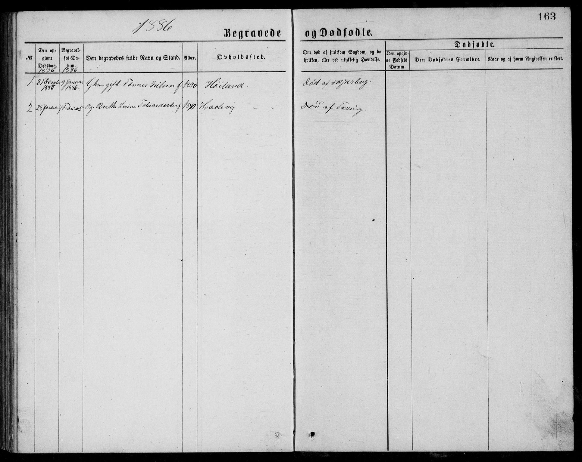 Lyngdal sokneprestkontor, AV/SAK-1111-0029/F/Fb/Fba/L0002: Parish register (copy) no. B 2, 1876-1886, p. 163