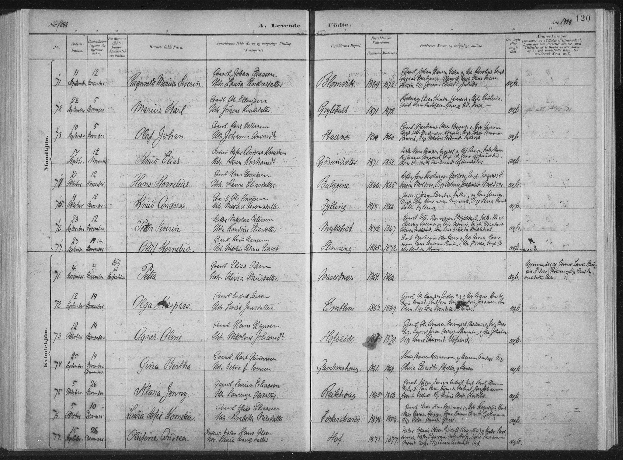 Ministerialprotokoller, klokkerbøker og fødselsregistre - Møre og Romsdal, AV/SAT-A-1454/528/L0405: Parish register (official) no. 528A14, 1891-1906, p. 120