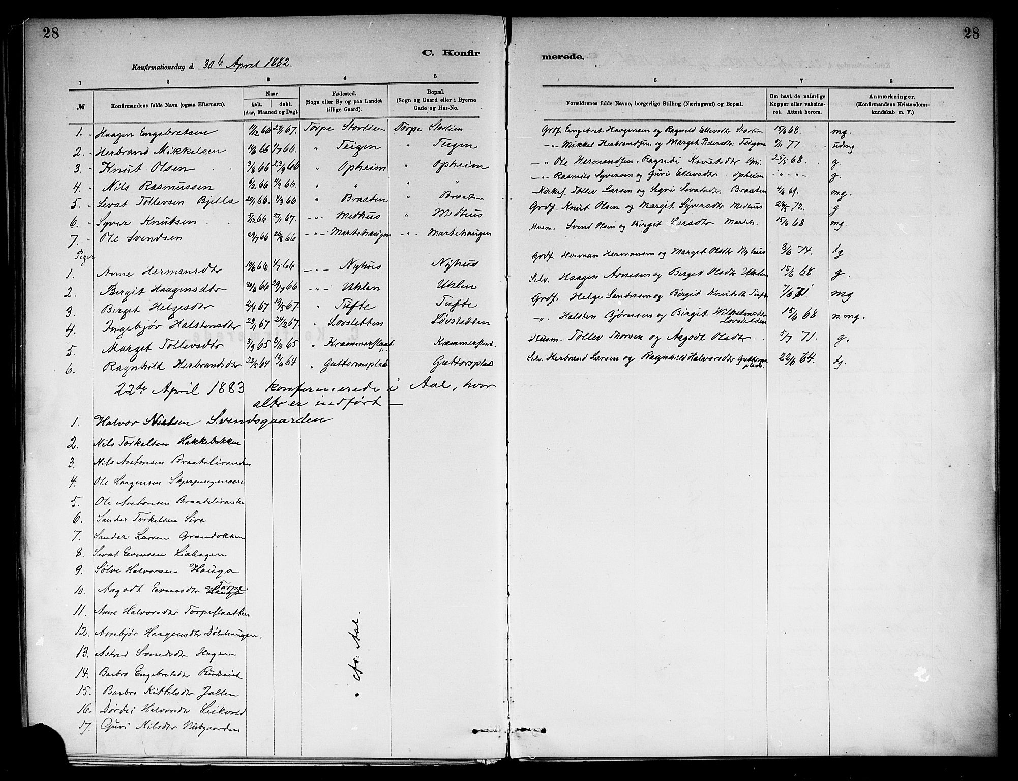 Ål kirkebøker, AV/SAKO-A-249/F/Fb/L0001: Parish register (official) no. II 1, 1882-1899, p. 28