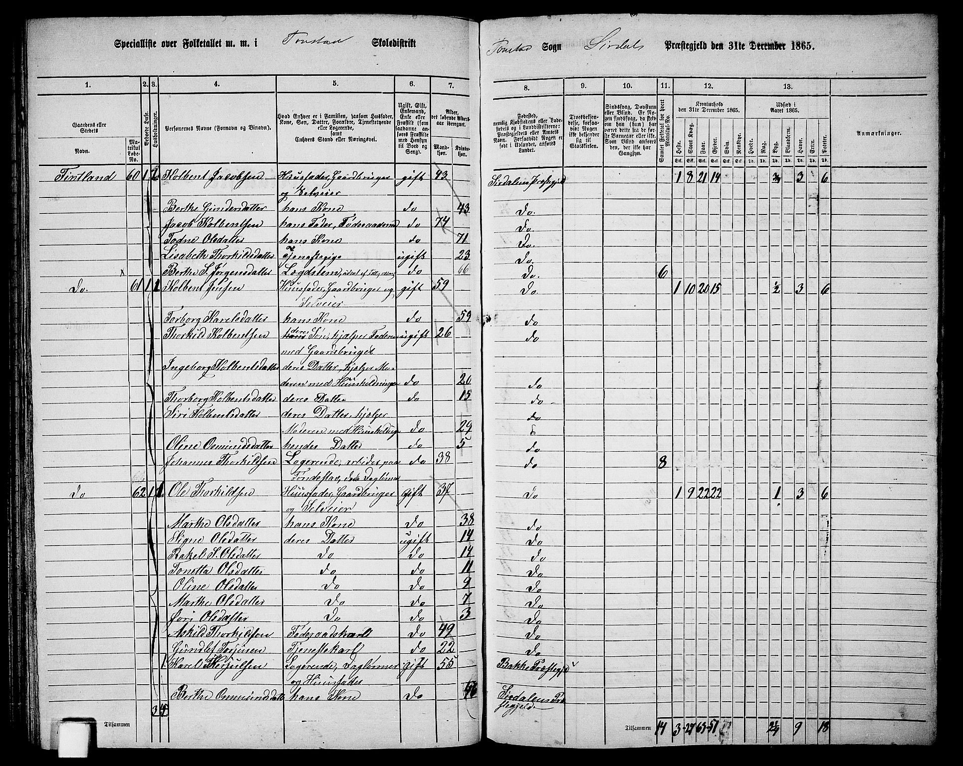 RA, 1865 census for Sirdal, 1865, p. 24