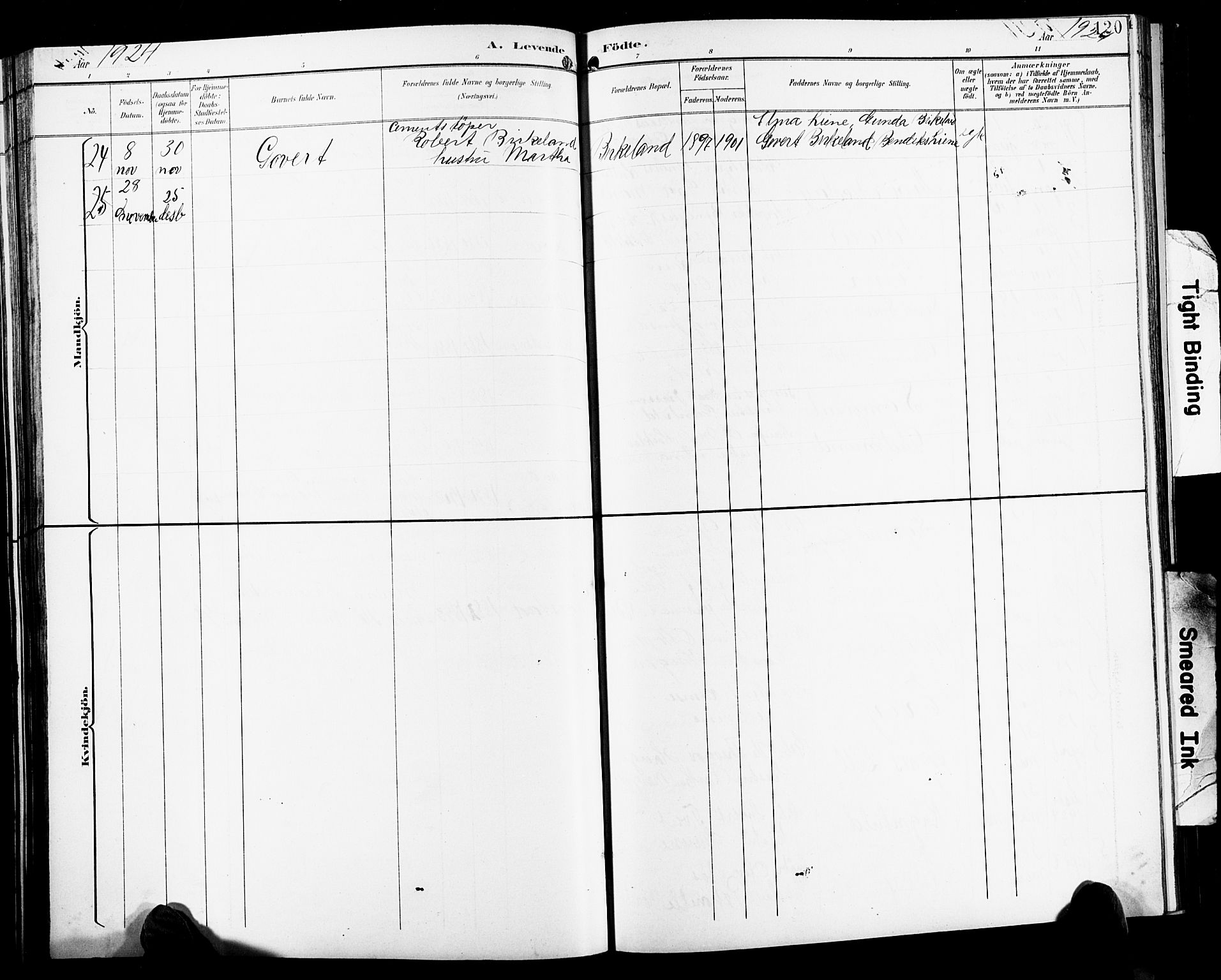 Birkenes sokneprestkontor, AV/SAK-1111-0004/F/Fb/L0004: Parish register (copy) no. B 4, 1893-1930, p. 120