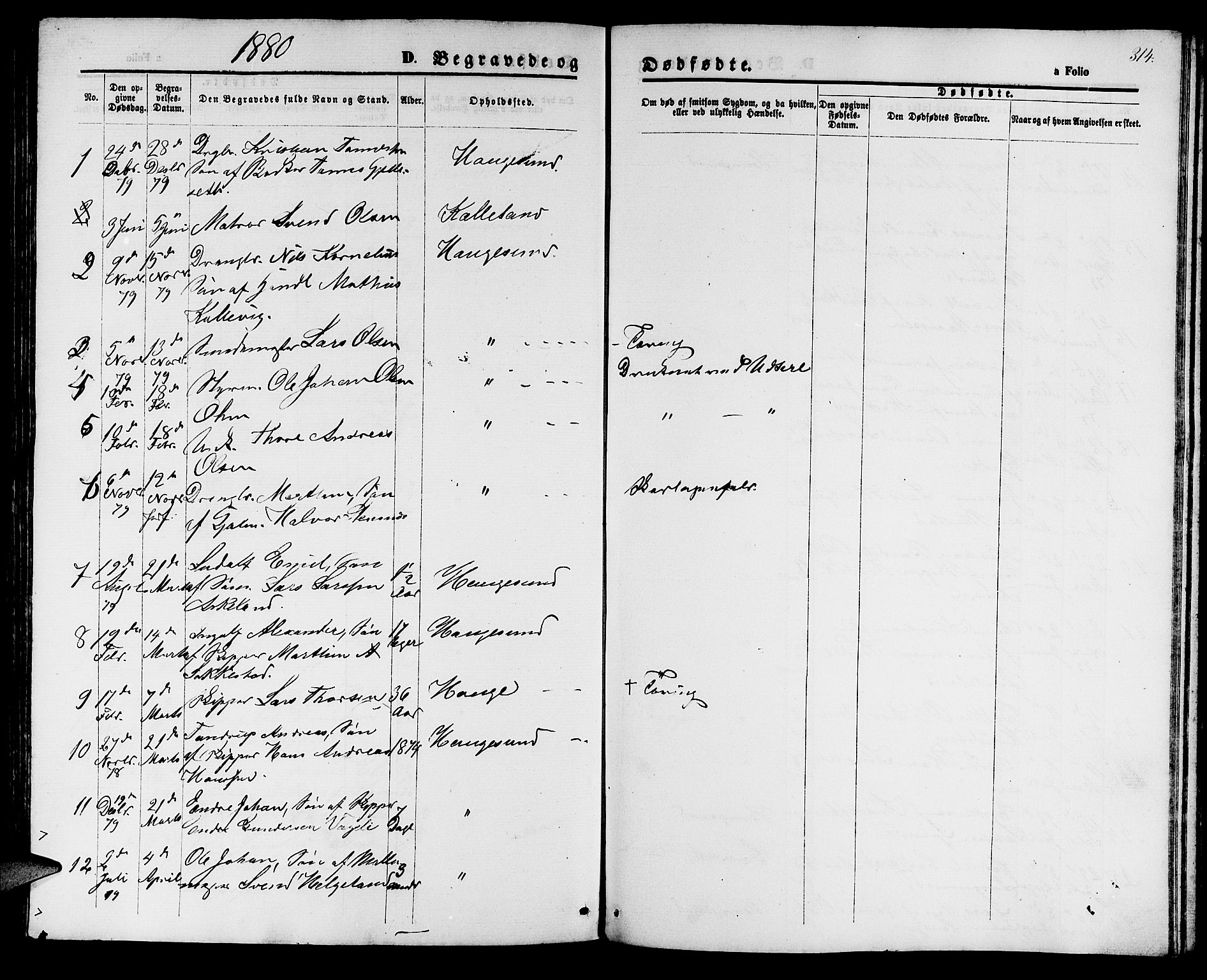 Haugesund sokneprestkontor, AV/SAST-A -101863/H/Ha/Hab/L0001: Parish register (copy) no. B 1, 1873-1881, p. 314