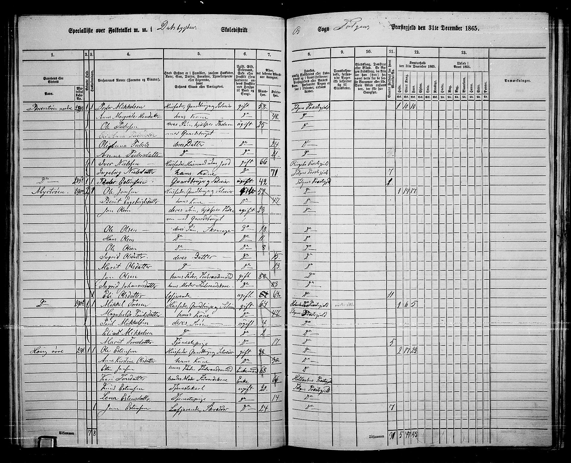 RA, 1865 census for Tolga, 1865, p. 122