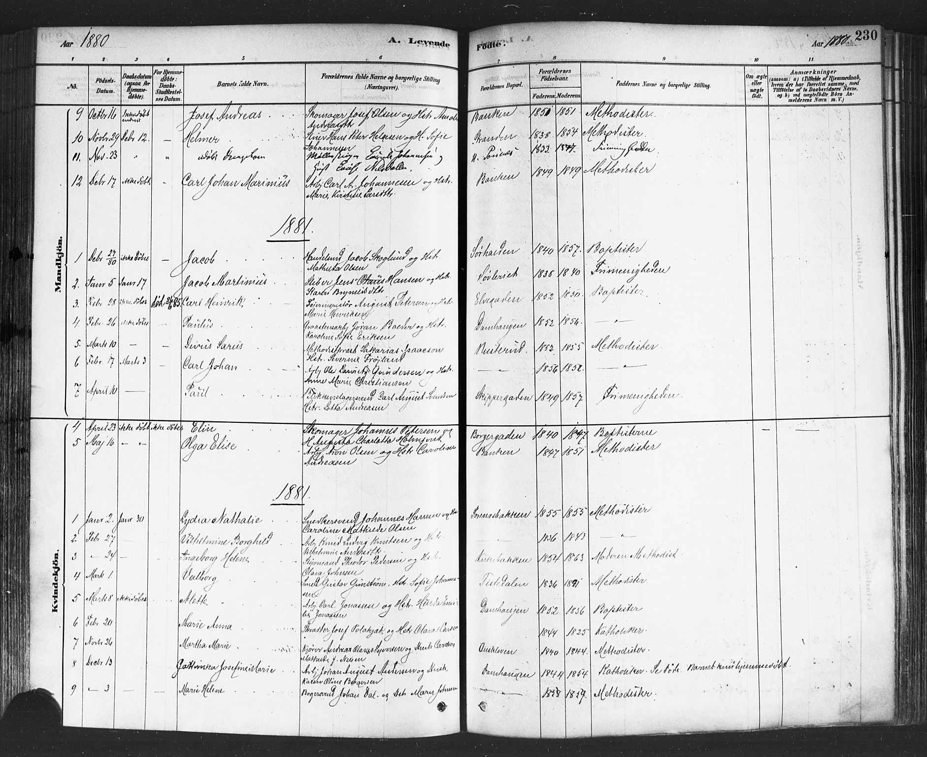 Halden prestekontor Kirkebøker, SAO/A-10909/F/Fa/L0011: Parish register (official) no. I 11, 1878-1889, p. 230