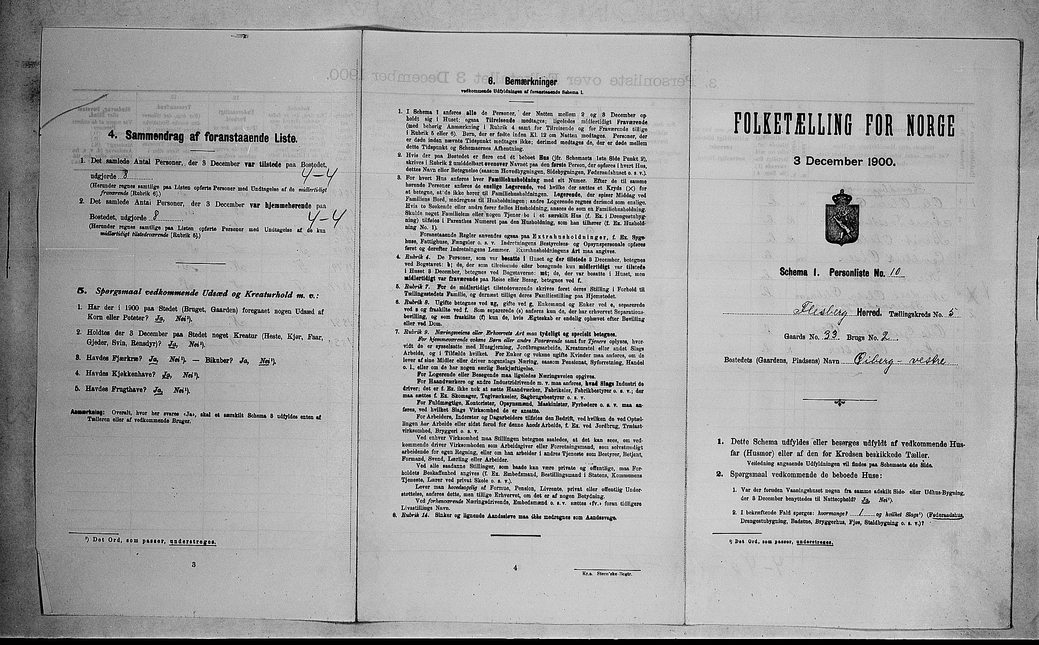 RA, 1900 census for Flesberg, 1900, p. 296