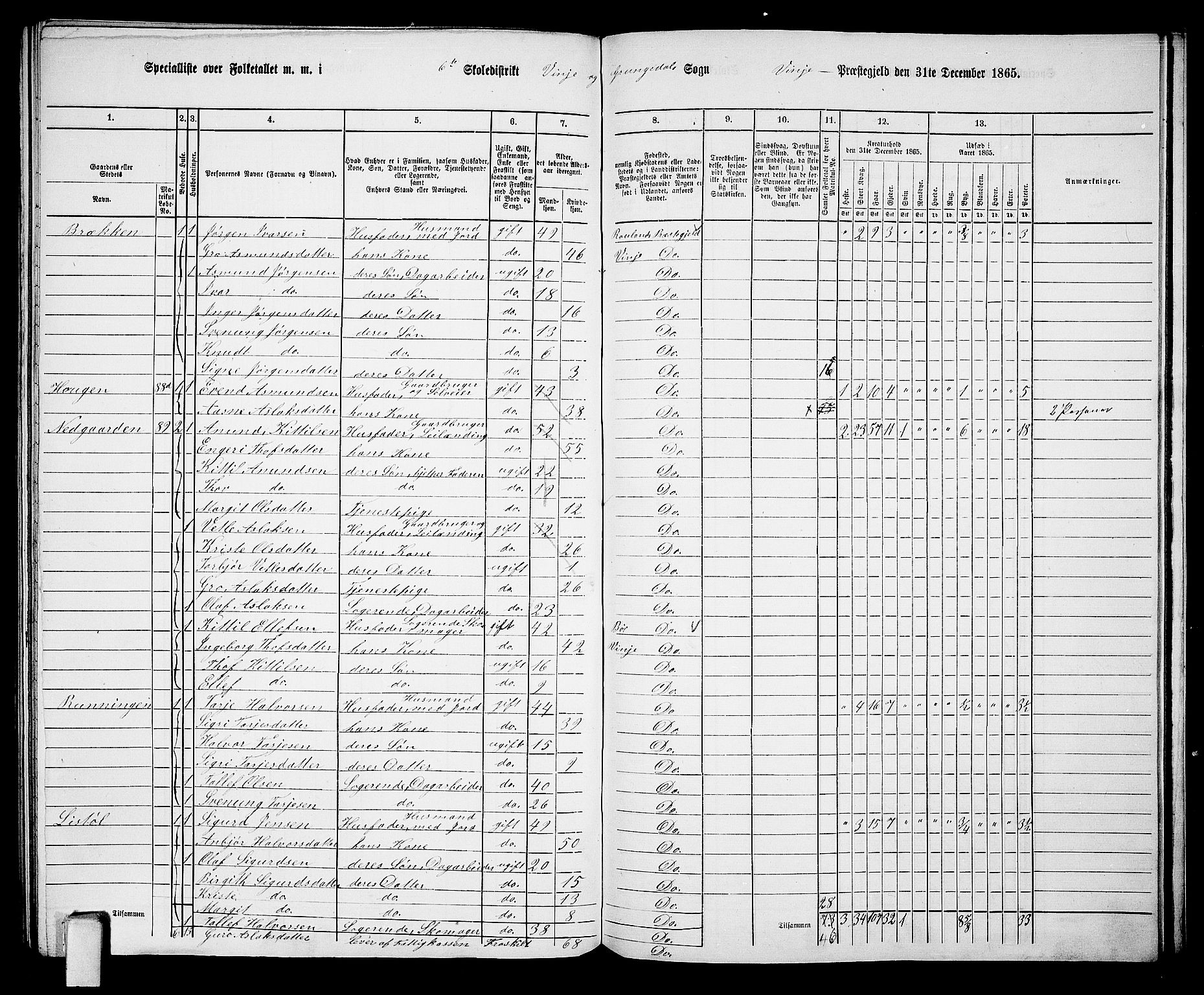 RA, 1865 census for Vinje, 1865, p. 57