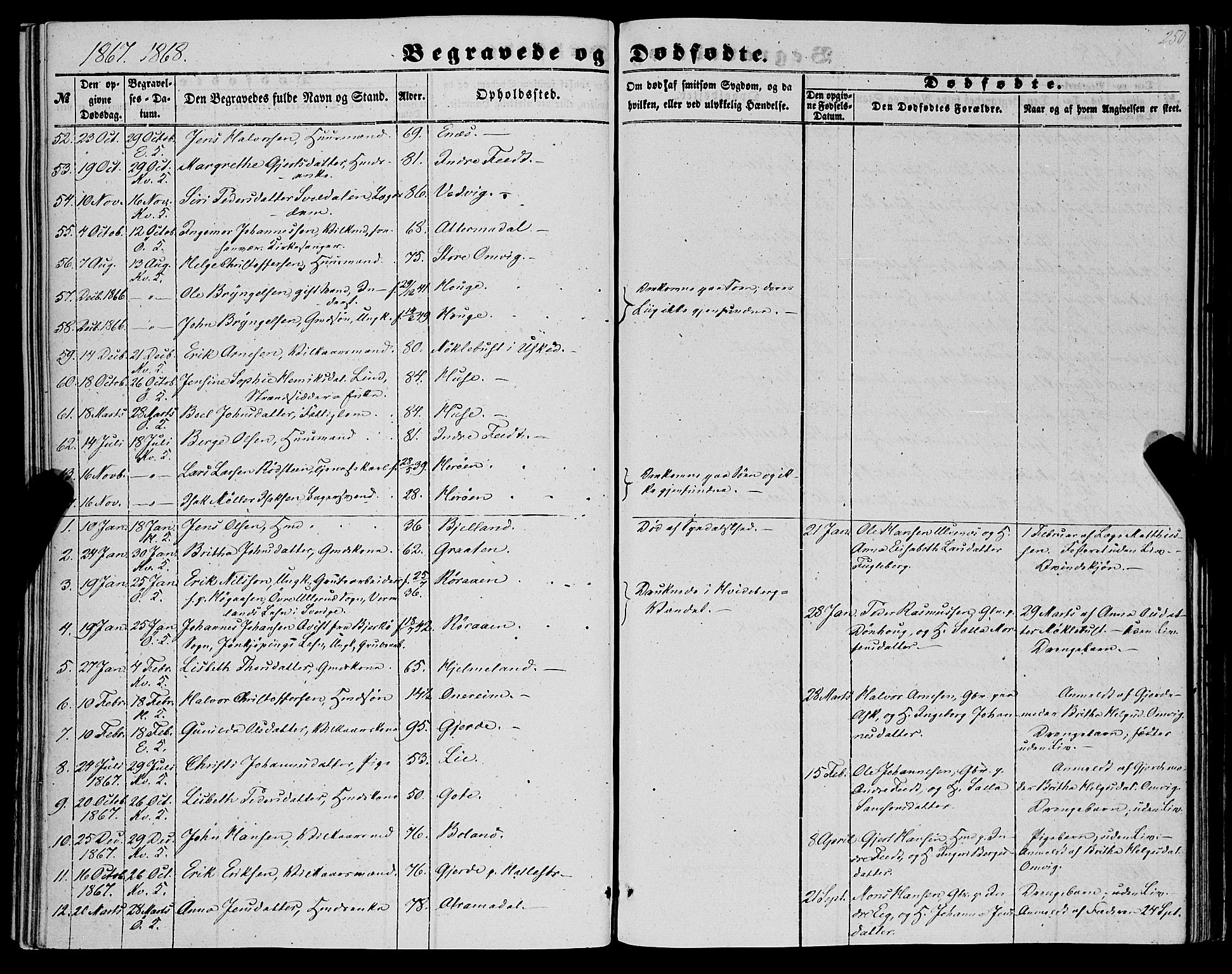 Kvinnherad sokneprestembete, SAB/A-76401/H/Haa: Parish register (official) no. A 8, 1854-1872, p. 250