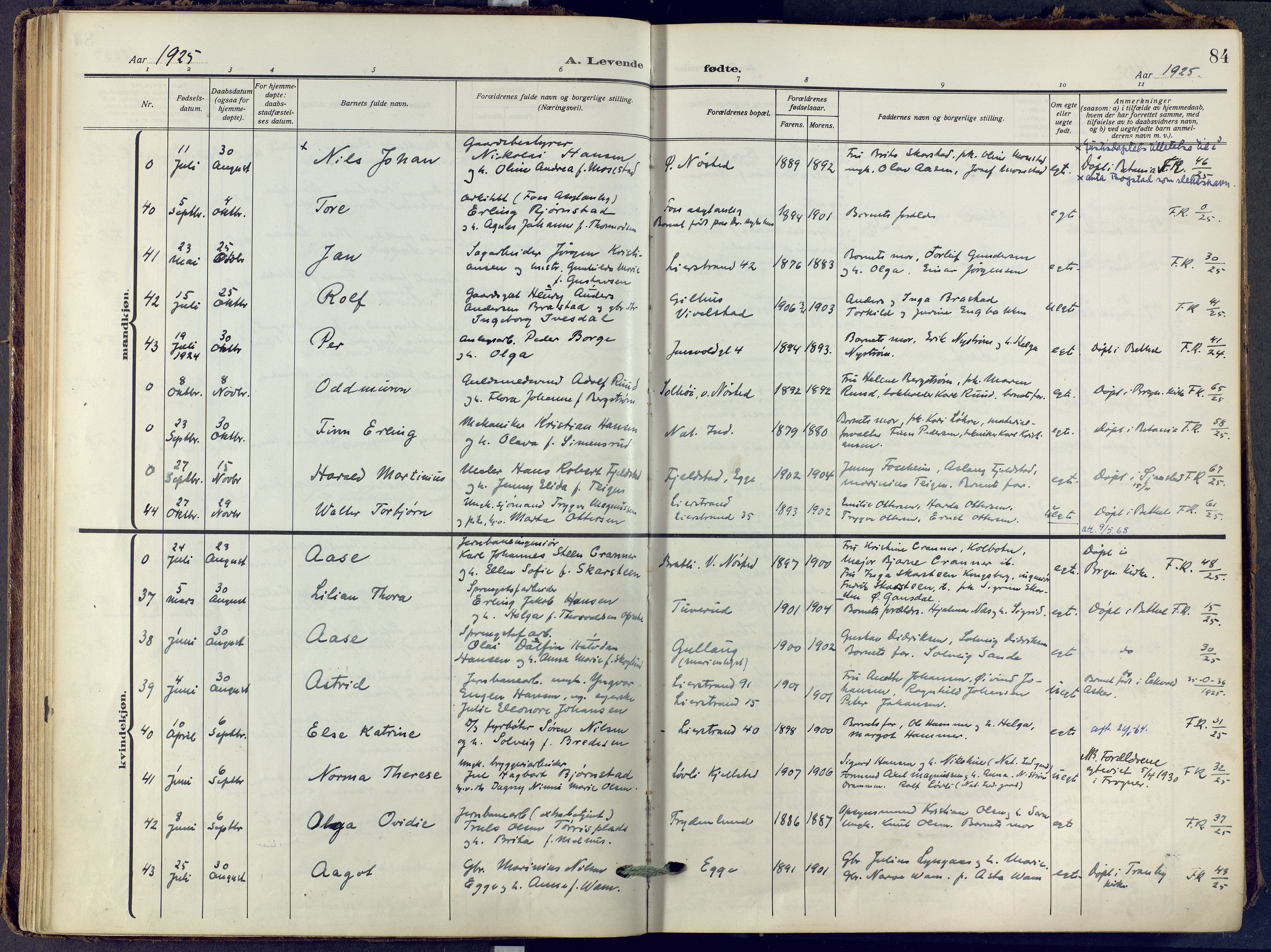 Lier kirkebøker, SAKO/A-230/F/Fa/L0019: Parish register (official) no. I 19, 1918-1928, p. 84