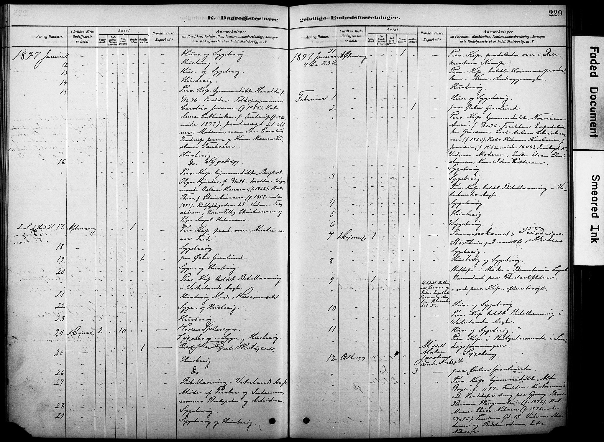 Oslo domkirke Kirkebøker, AV/SAO-A-10752/F/Fa/L0038: Parish register (official) no. 38, 1878-1921, p. 229