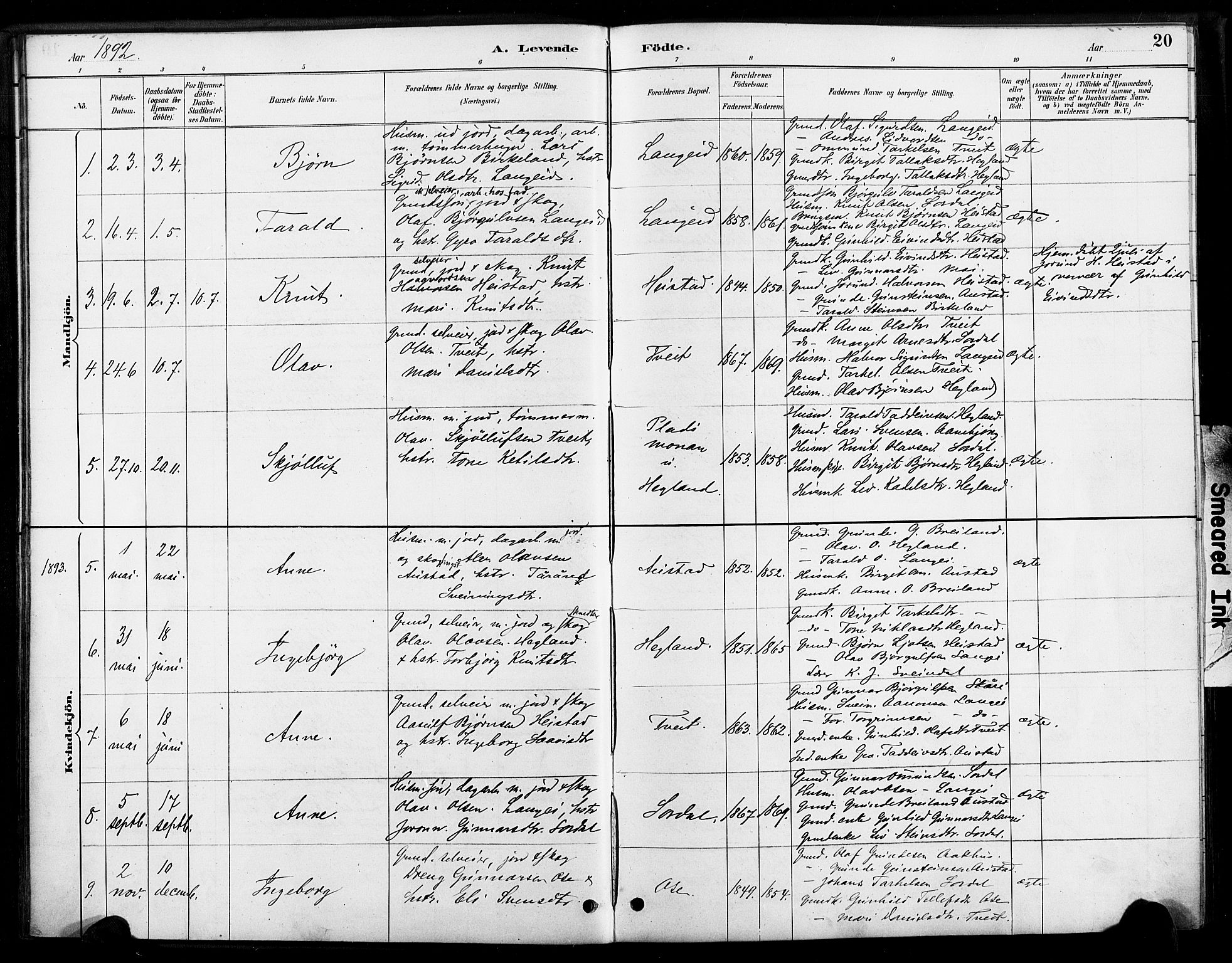 Bygland sokneprestkontor, SAK/1111-0006/F/Fa/Faa/L0001: Parish register (official) no. A 1, 1885-1908, p. 20