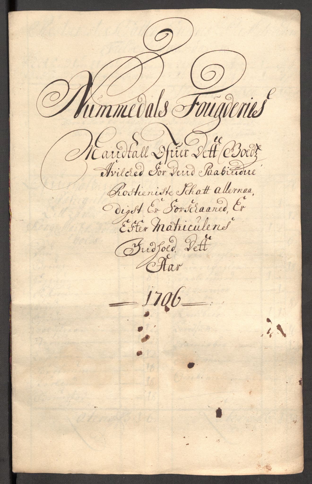 Rentekammeret inntil 1814, Reviderte regnskaper, Fogderegnskap, AV/RA-EA-4092/R64/L4429: Fogderegnskap Namdal, 1705-1706, p. 428