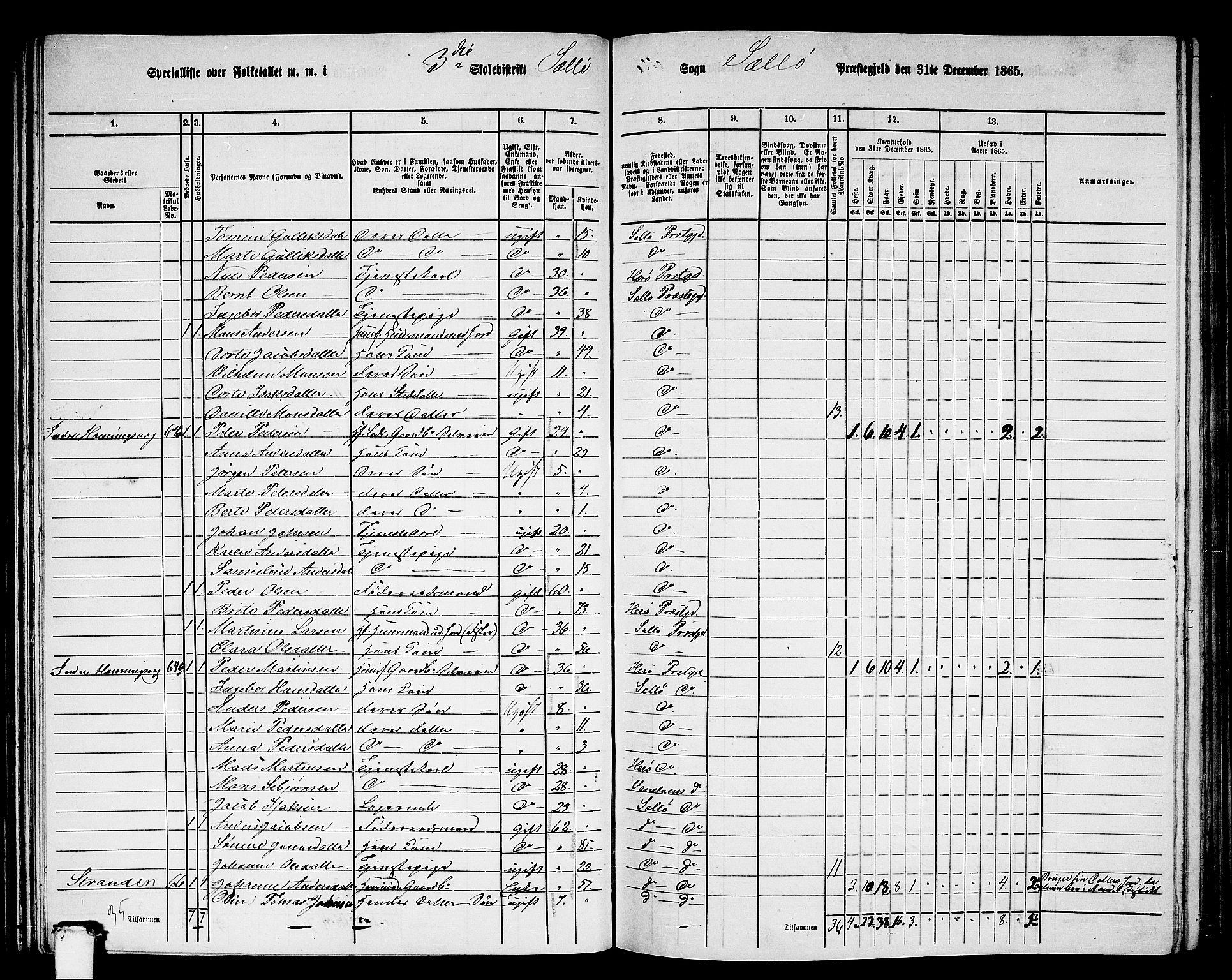 RA, 1865 census for Selje, 1865, p. 55