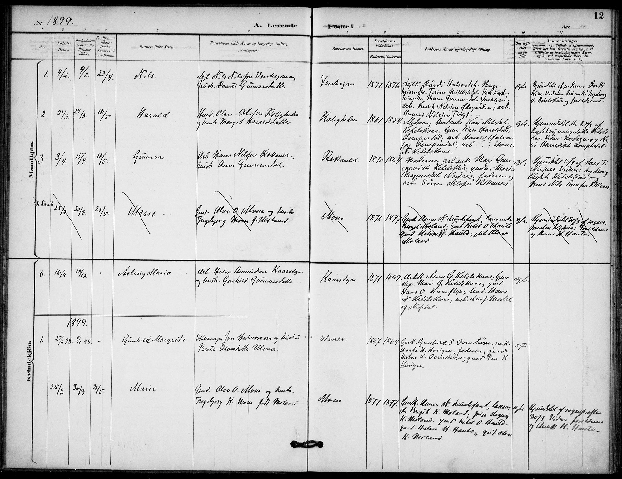Lunde kirkebøker, SAKO/A-282/F/Fb/L0004: Parish register (official) no. II 4, 1892-1907, p. 12