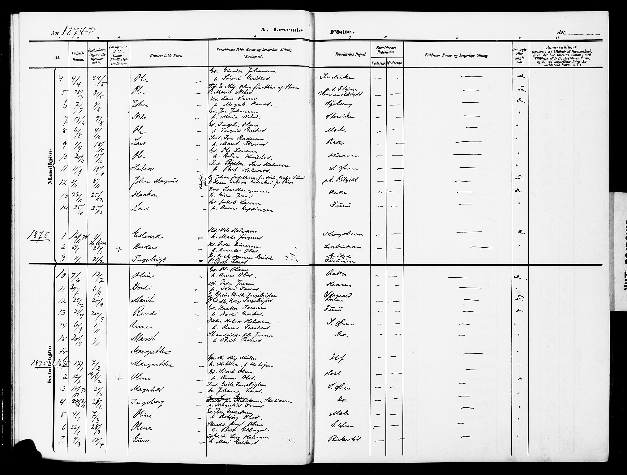 Ministerialprotokoller, klokkerbøker og fødselsregistre - Møre og Romsdal, AV/SAT-A-1454/590/L1017: Parish register (copy) no. 590C02, 1869-1931