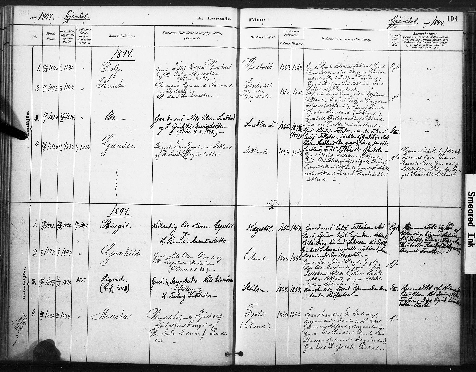 Åmli sokneprestkontor, SAK/1111-0050/F/Fa/Fac/L0010: Parish register (official) no. A 10 /2, 1885-1899, p. 194