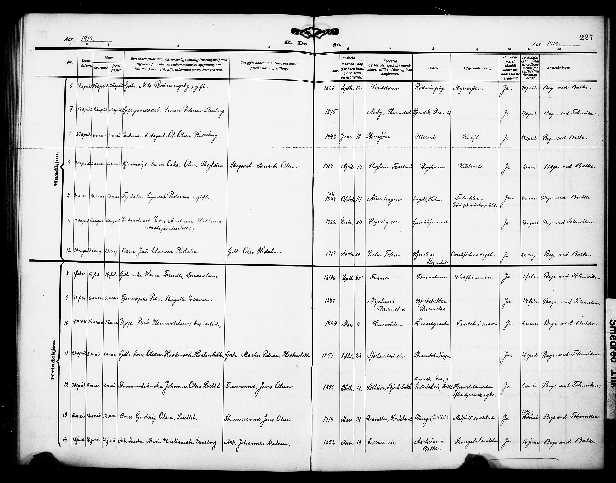 Østre Toten prestekontor, AV/SAH-PREST-104/H/Ha/Hab/L0008: Parish register (copy) no. 8, 1913-1929, p. 227