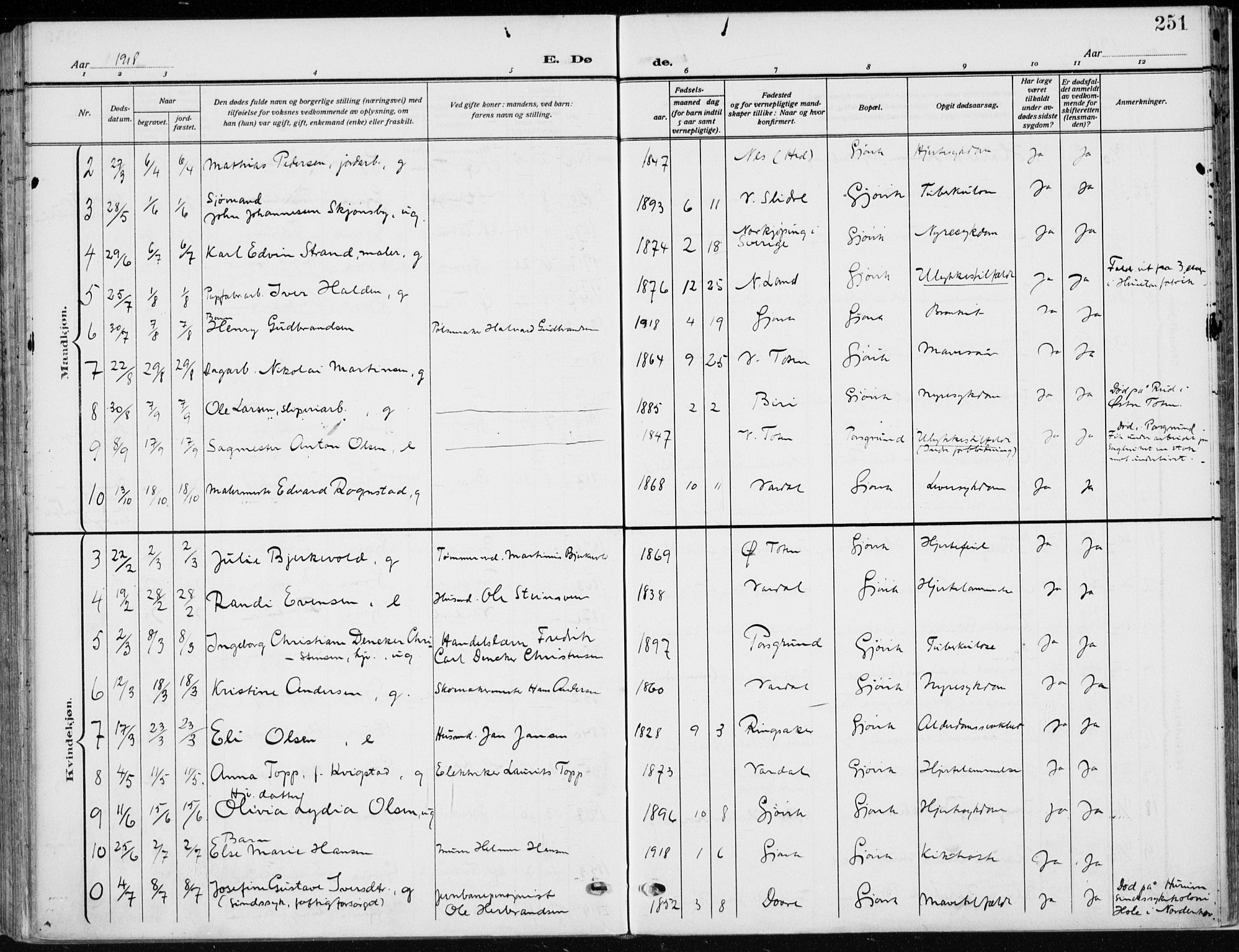 Vardal prestekontor, SAH/PREST-100/H/Ha/Haa/L0014: Parish register (official) no. 14, 1912-1922, p. 251