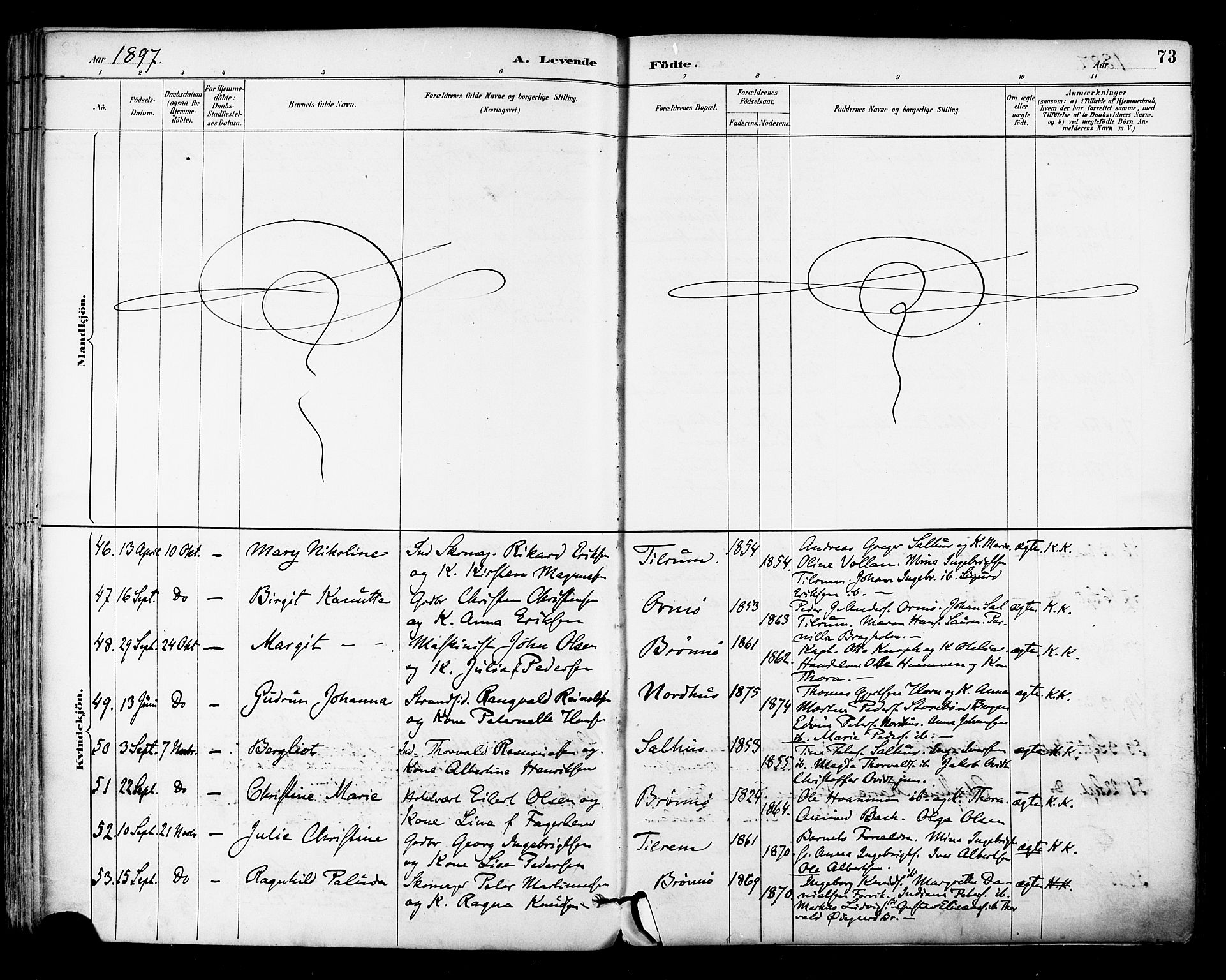 Ministerialprotokoller, klokkerbøker og fødselsregistre - Nordland, AV/SAT-A-1459/813/L0200: Parish register (official) no. 813A10, 1886-1900, p. 73