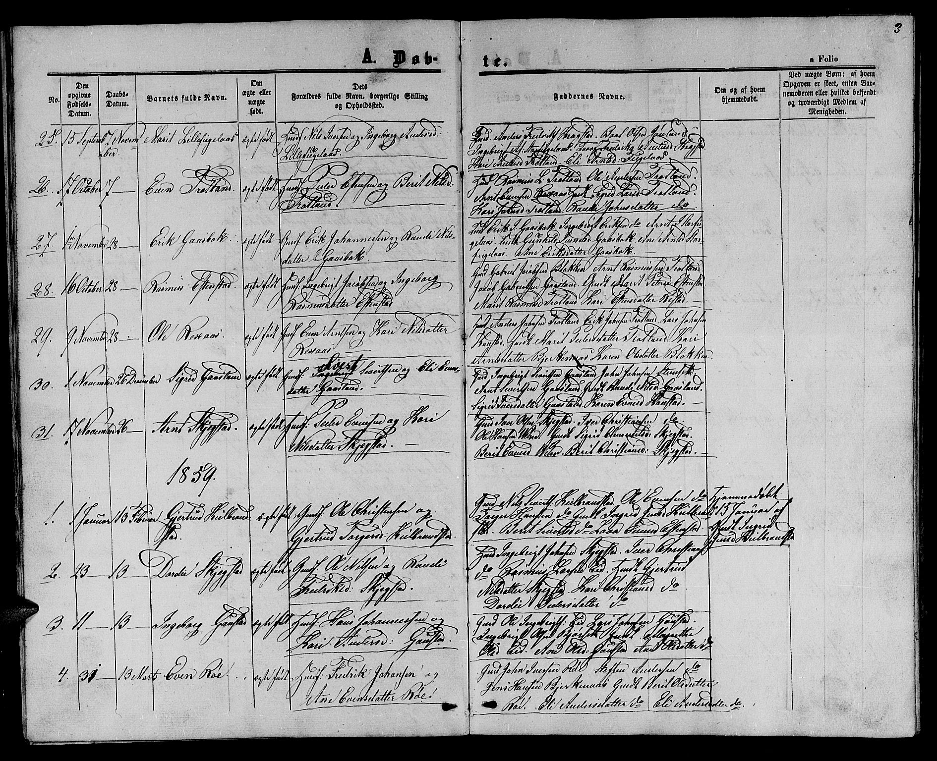 Ministerialprotokoller, klokkerbøker og fødselsregistre - Sør-Trøndelag, SAT/A-1456/694/L1131: Parish register (copy) no. 694C03, 1858-1886, p. 3
