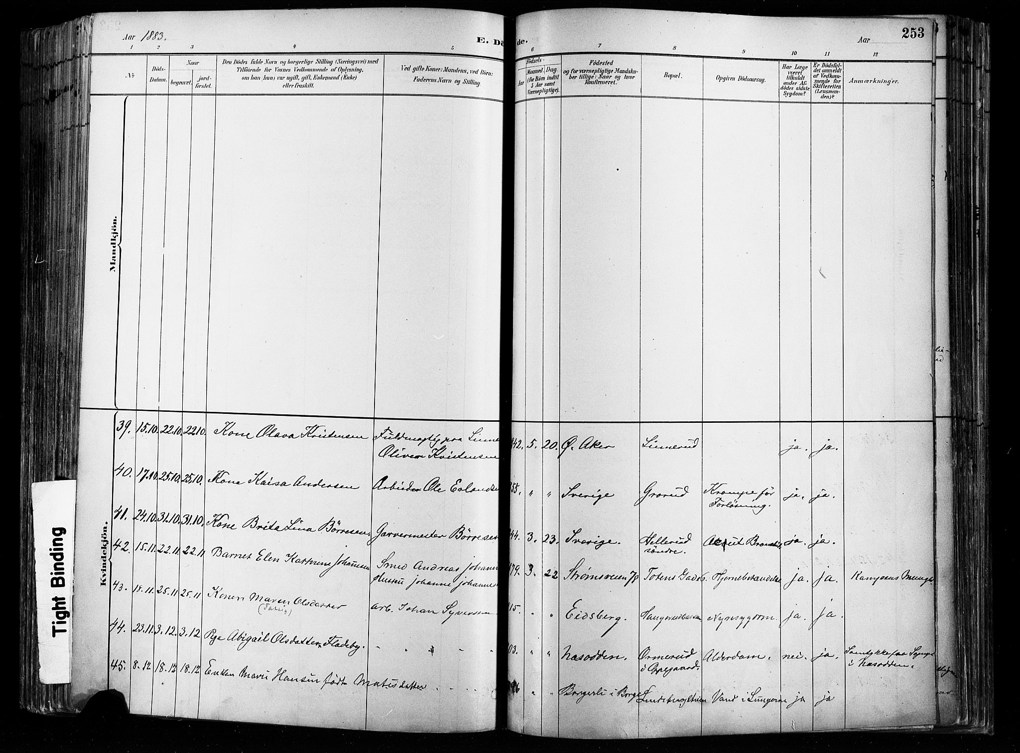 Østre Aker prestekontor Kirkebøker, AV/SAO-A-10840/F/Fa/L0008: Parish register (official) no. I 8, 1883-1894, p. 253