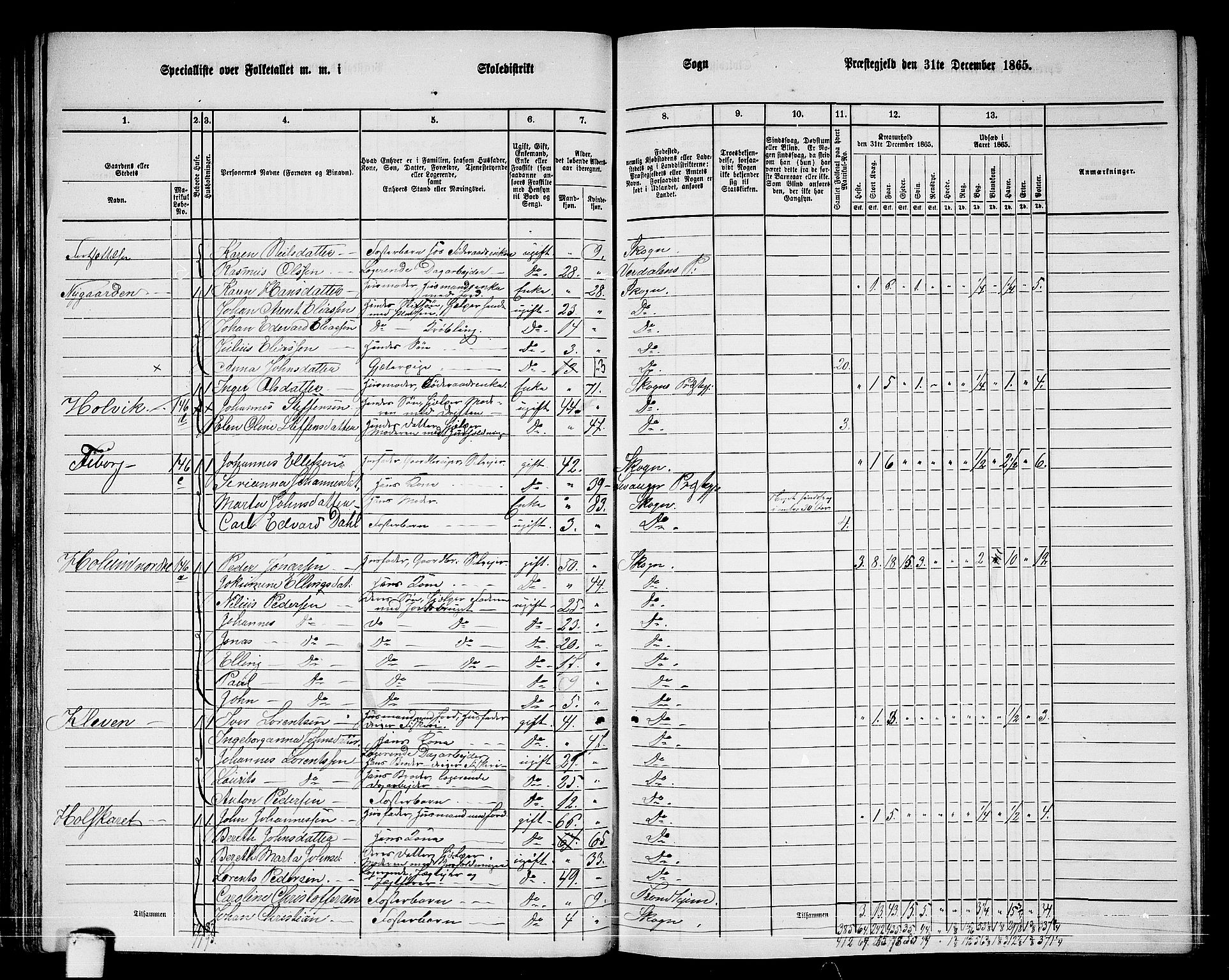 RA, 1865 census for Skogn, 1865, p. 65