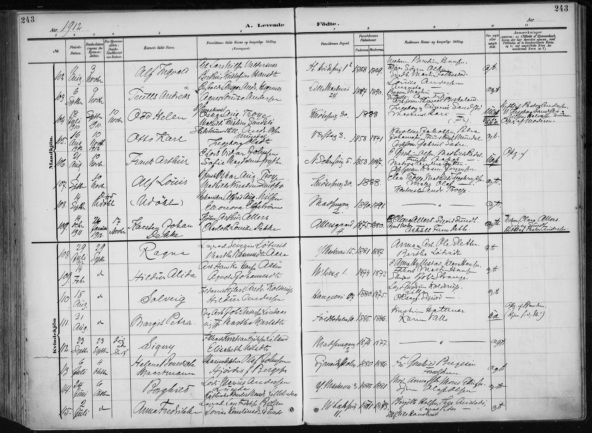 Nykirken Sokneprestembete, AV/SAB-A-77101/H/Haa/L0019: Parish register (official) no. B 7, 1904-1916, p. 243