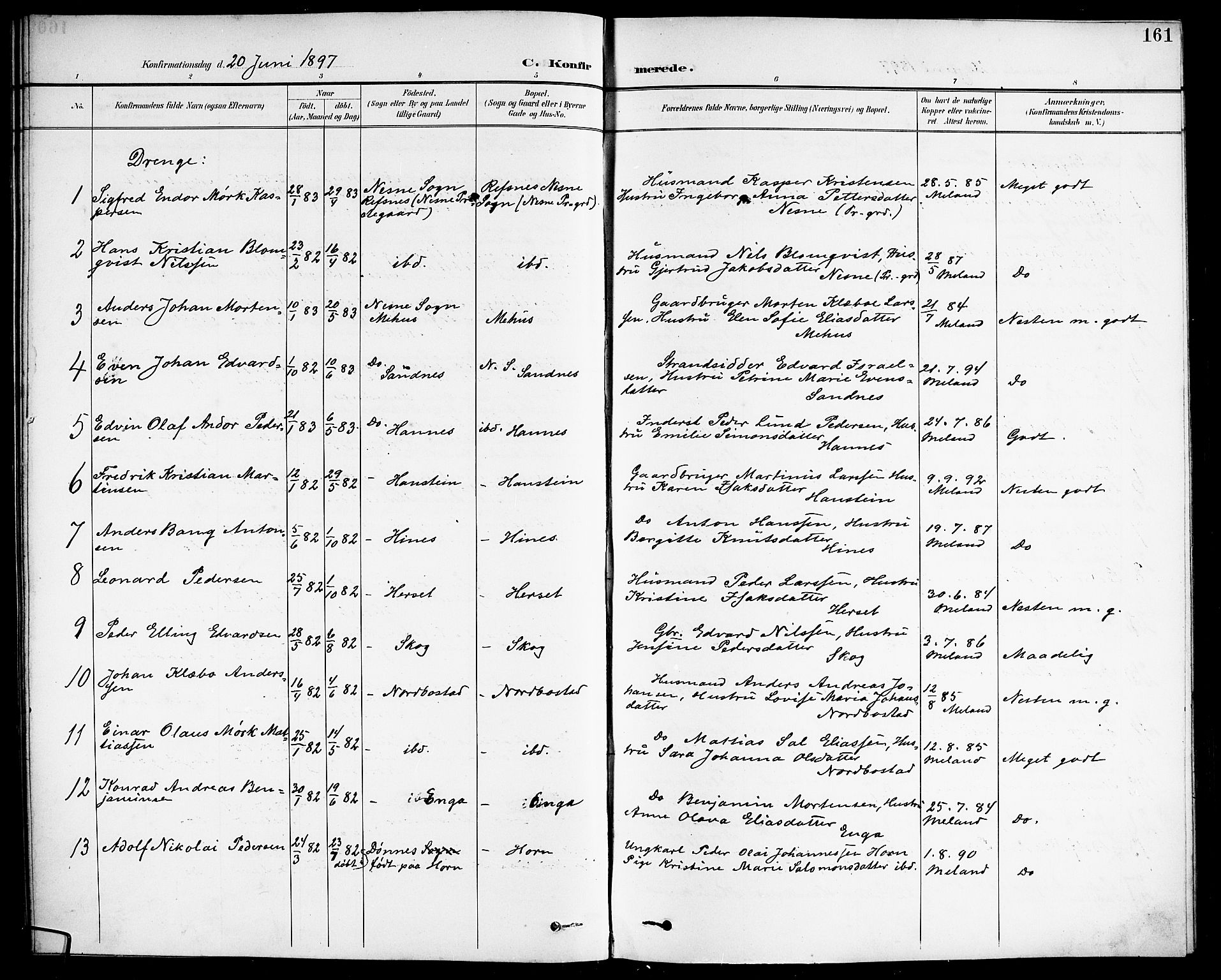 Ministerialprotokoller, klokkerbøker og fødselsregistre - Nordland, AV/SAT-A-1459/838/L0559: Parish register (copy) no. 838C06, 1893-1910, p. 161