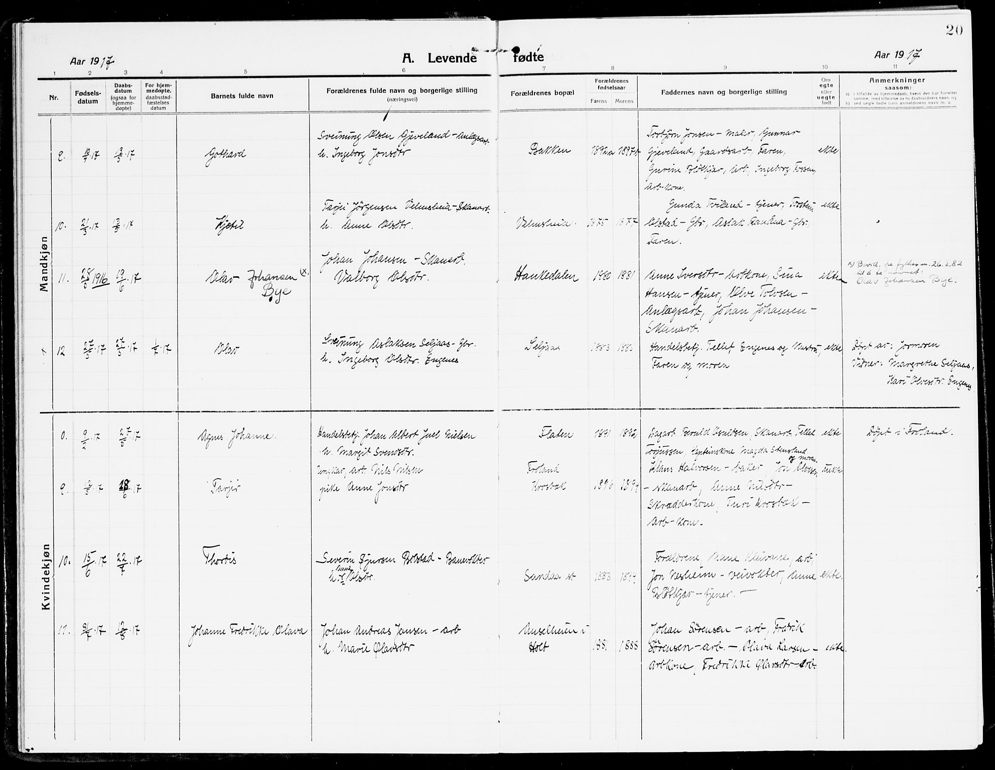 Åmli sokneprestkontor, AV/SAK-1111-0050/F/Fa/Fac/L0013: Parish register (official) no. A 13, 1914-1933, p. 20