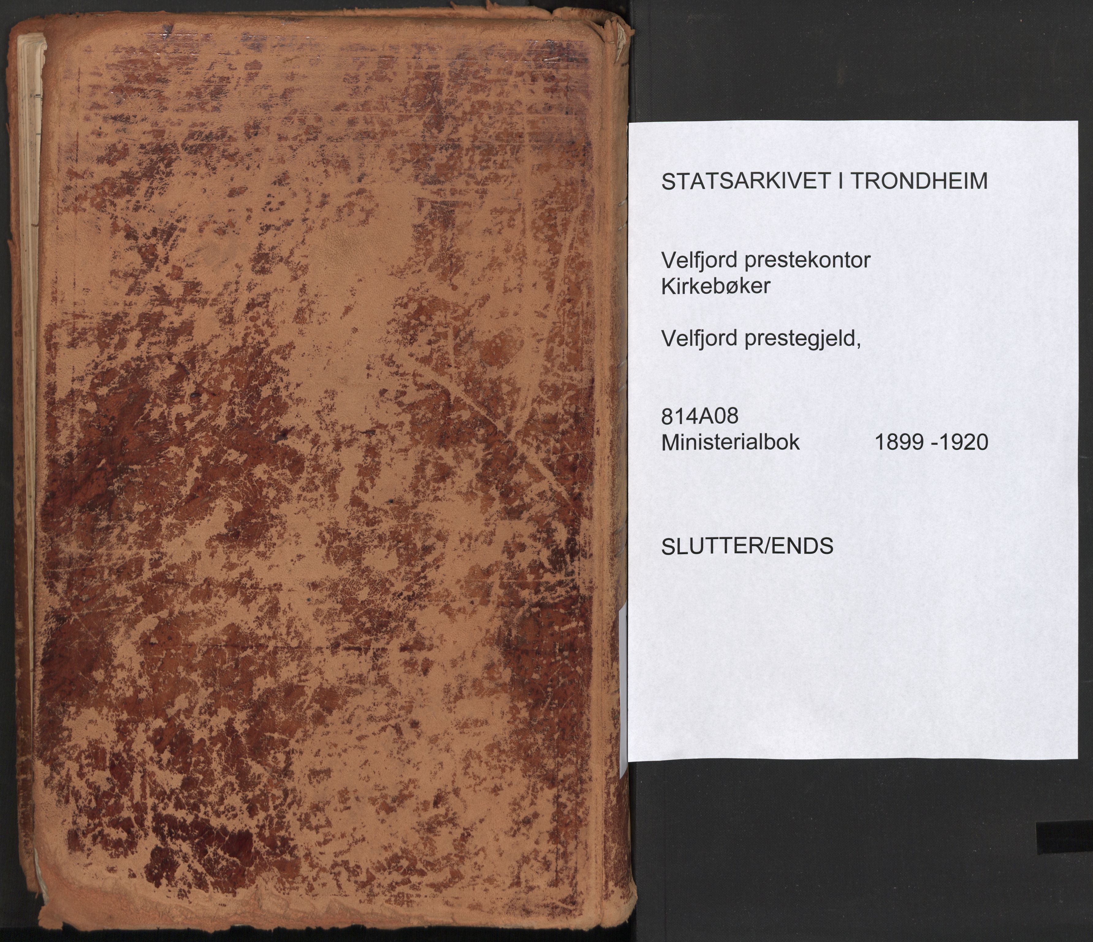 Ministerialprotokoller, klokkerbøker og fødselsregistre - Nordland, AV/SAT-A-1459/814/L0227: Parish register (official) no. 814A08, 1899-1920