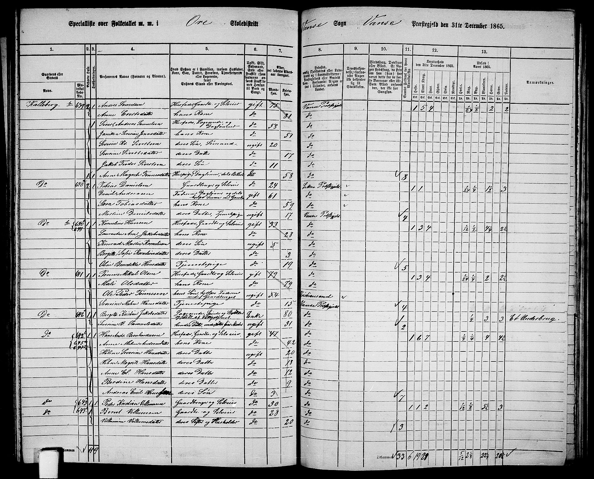 RA, 1865 census for Vanse/Vanse og Farsund, 1865, p. 226